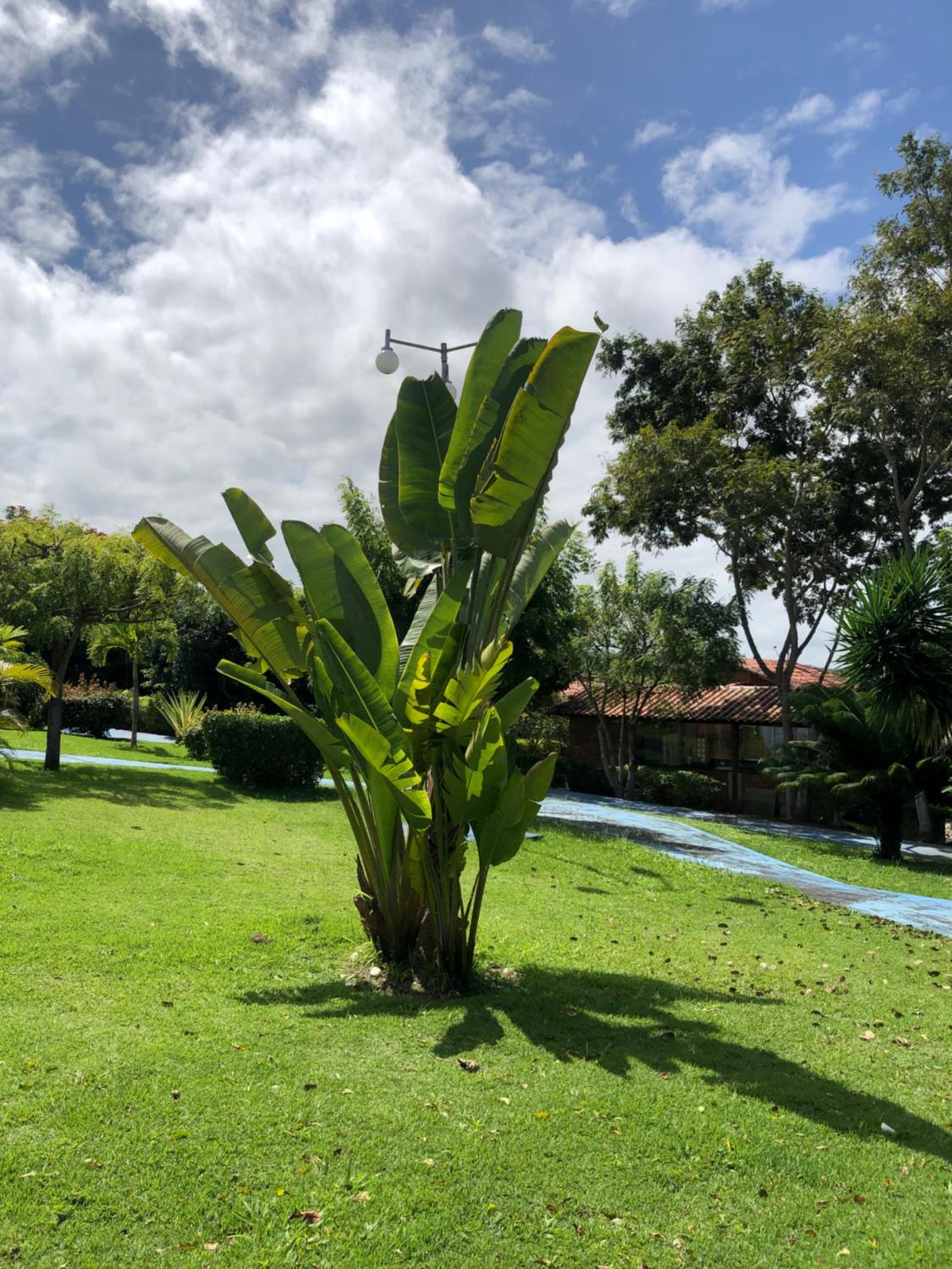 Bangalô Doce lar
