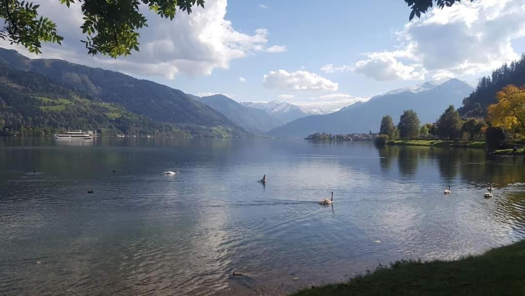 Appartement Pension Bäckenhäusl FERIENWOHNUNGEN Chalets Hütten Komfortzimmer
