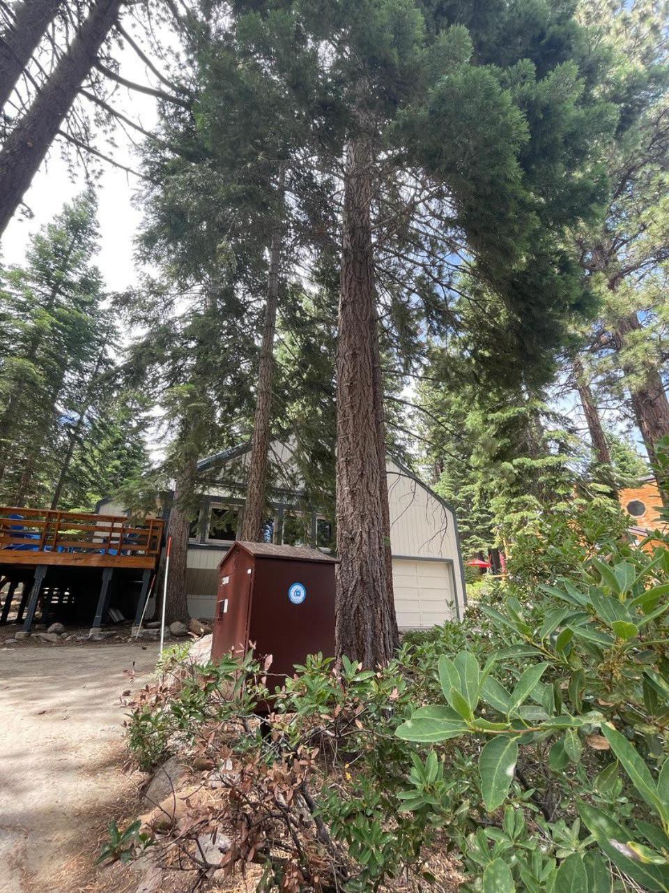 Summer Fun in North Lake Tahoe Carnelian Bay