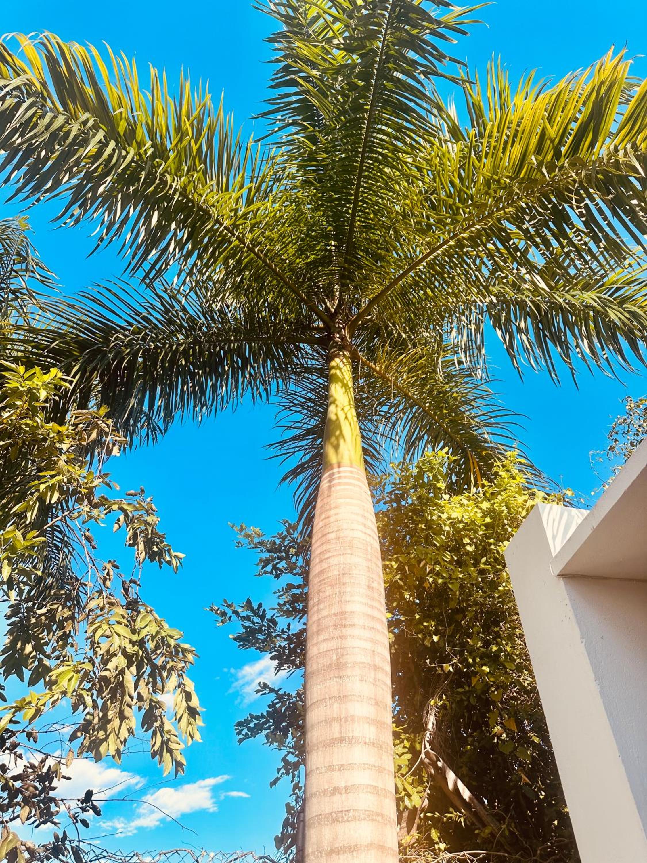 Villa campestre Casa Blanca Full House