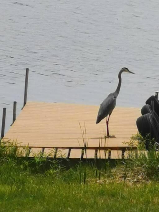 Pigeon Lake Cottage