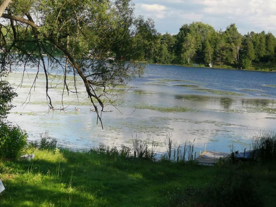Pigeon Lake Cottage