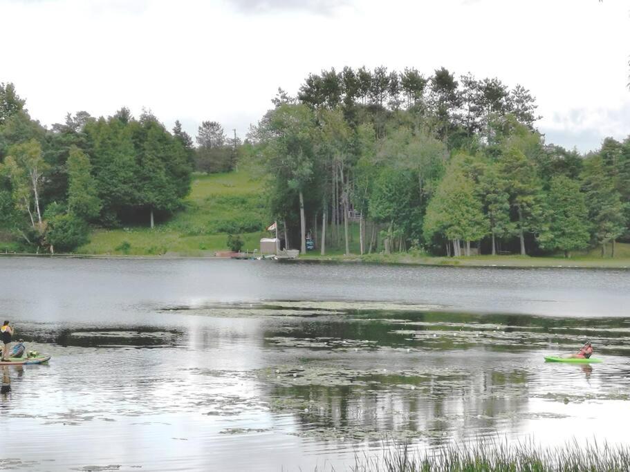Pigeon Lake Cottage