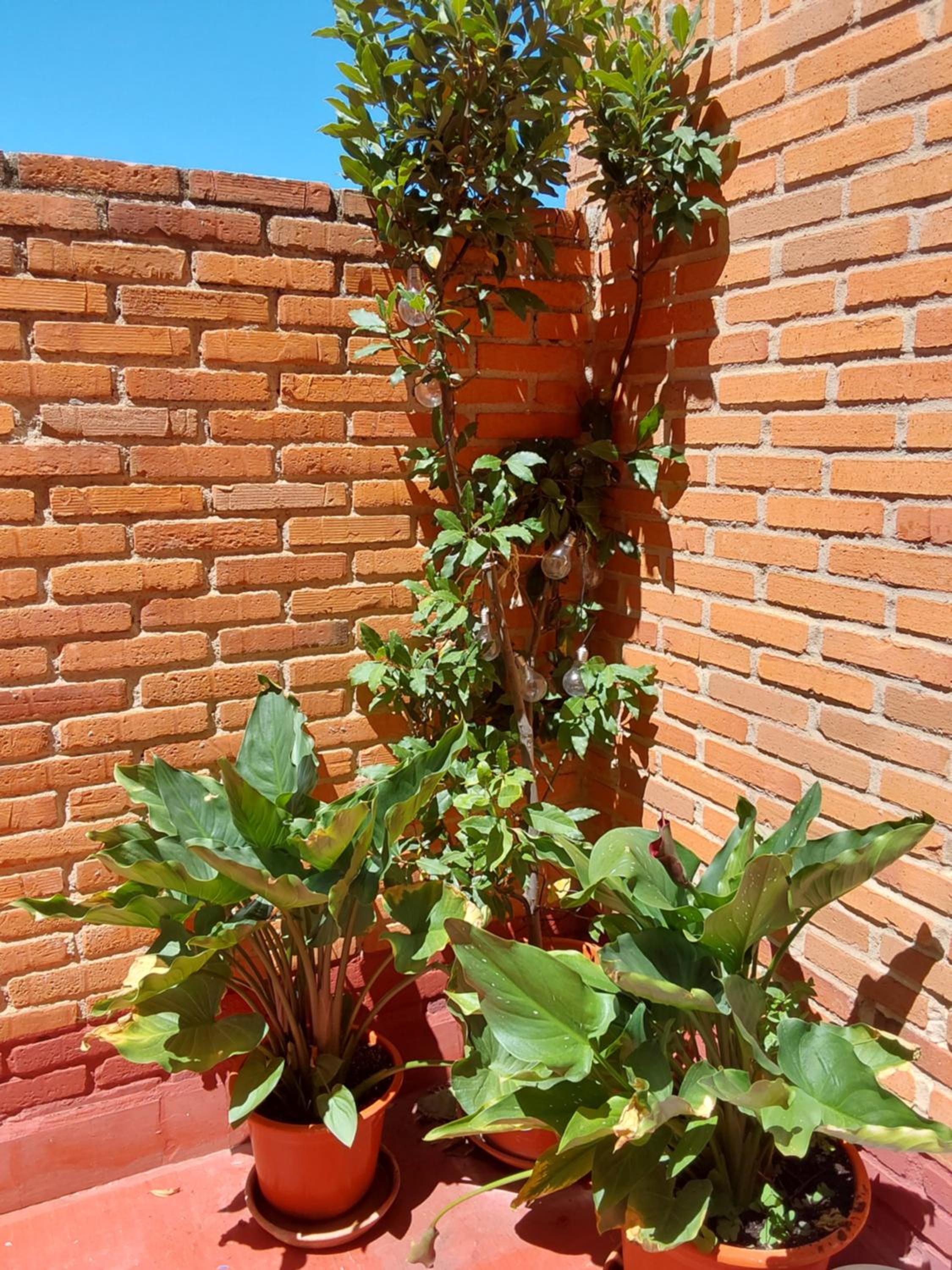 Piso turístico en el centro de Benavente
