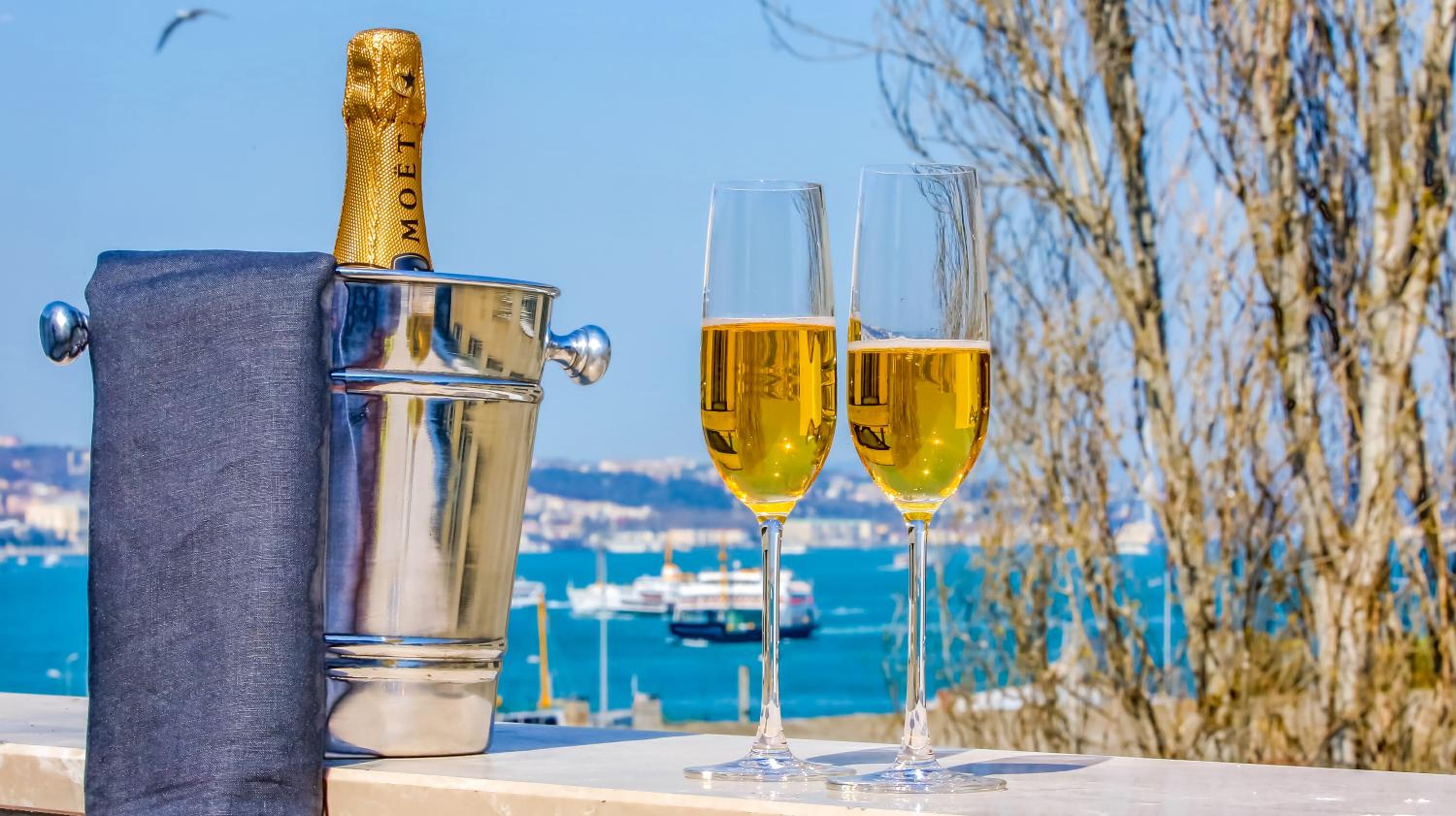 Barbera Otel - Image 40