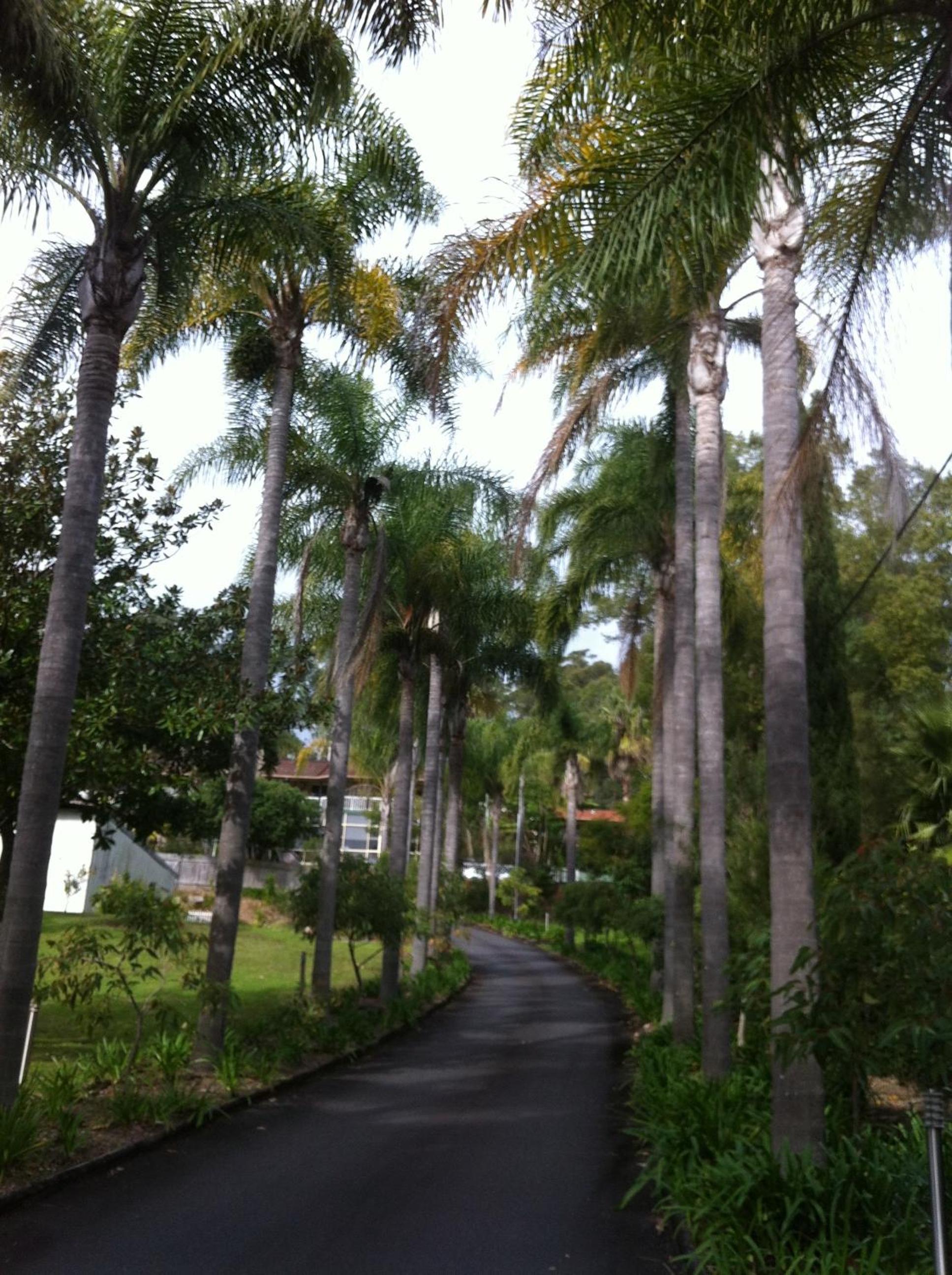 Gosford Inn Motel