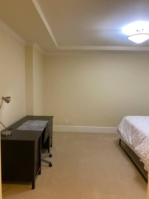 spacious modern new suite