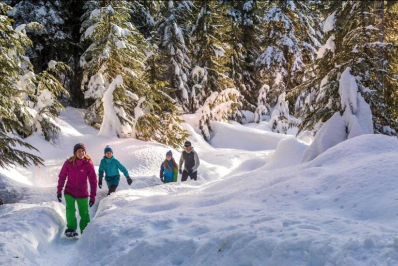 Ski-in Ski-out at upper village next to Fairmount Hotel In Whistler