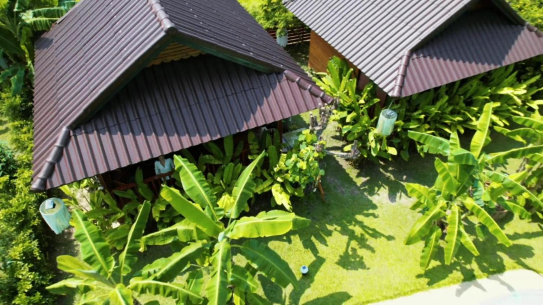 Samui Blue Bird