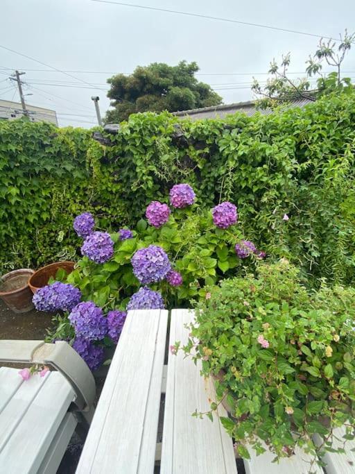 Photo 42