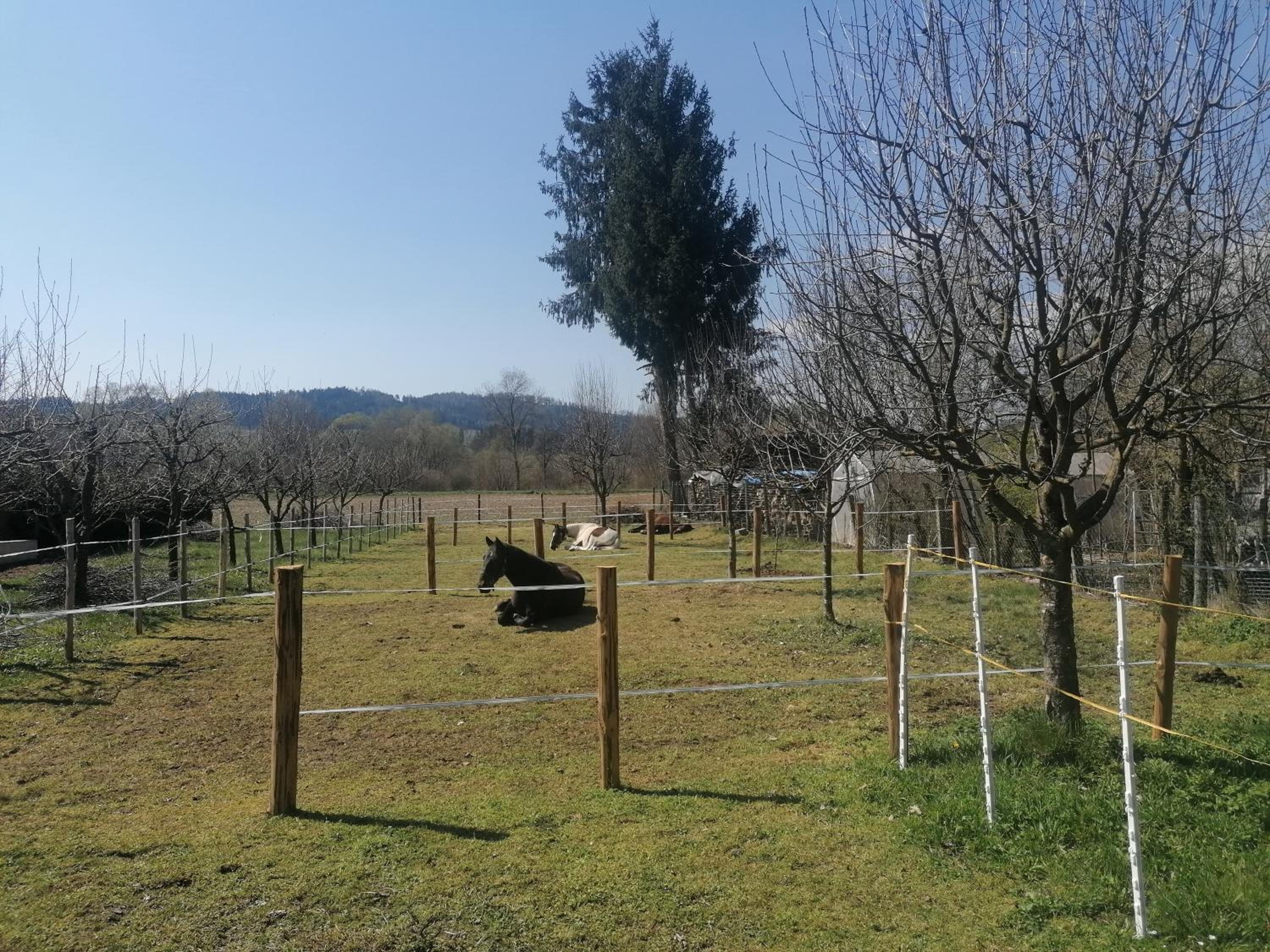 Hof Notburga - Erholung, Ruhe & Natur pur