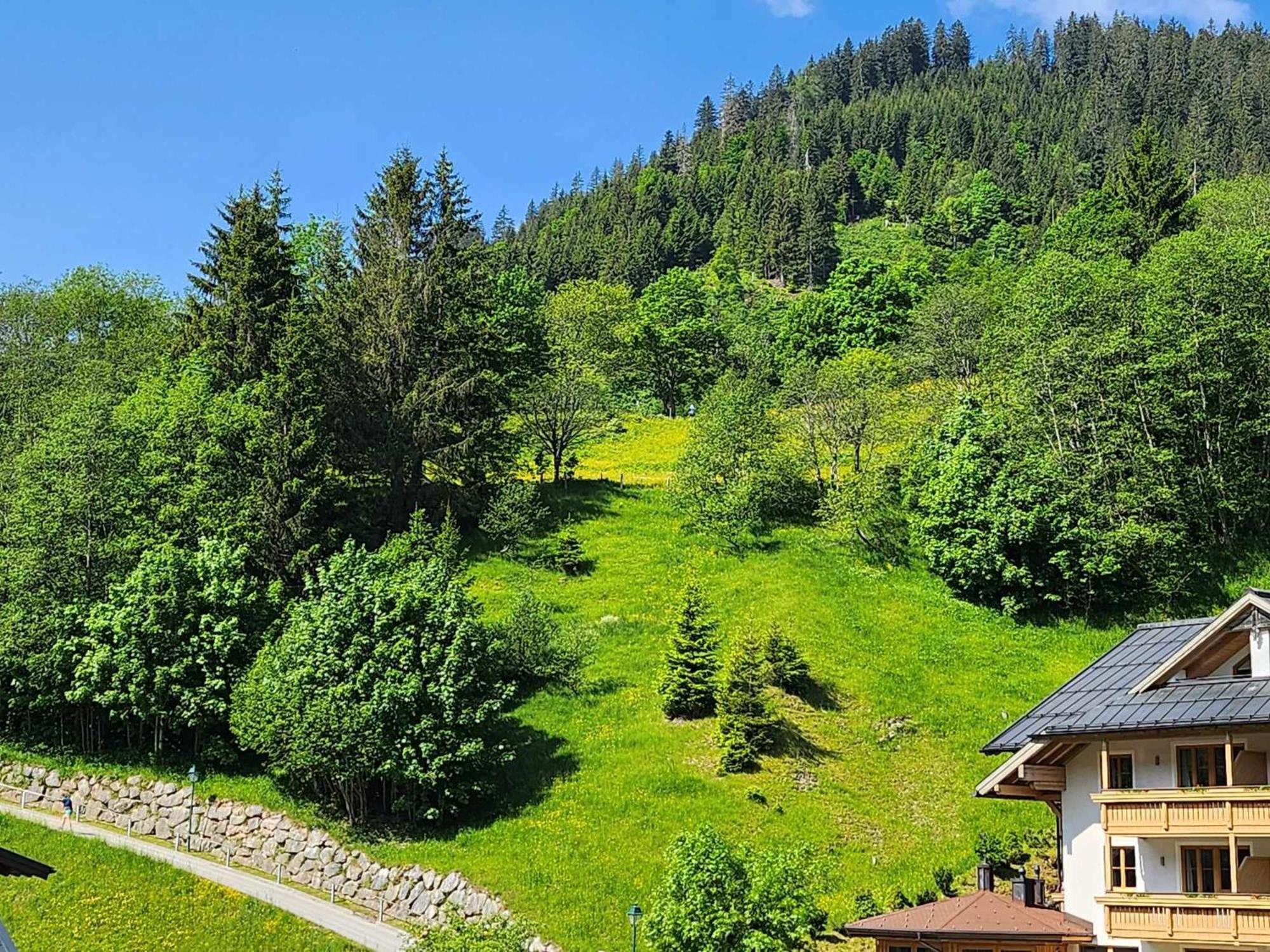 Leni`s Mountain Appartements