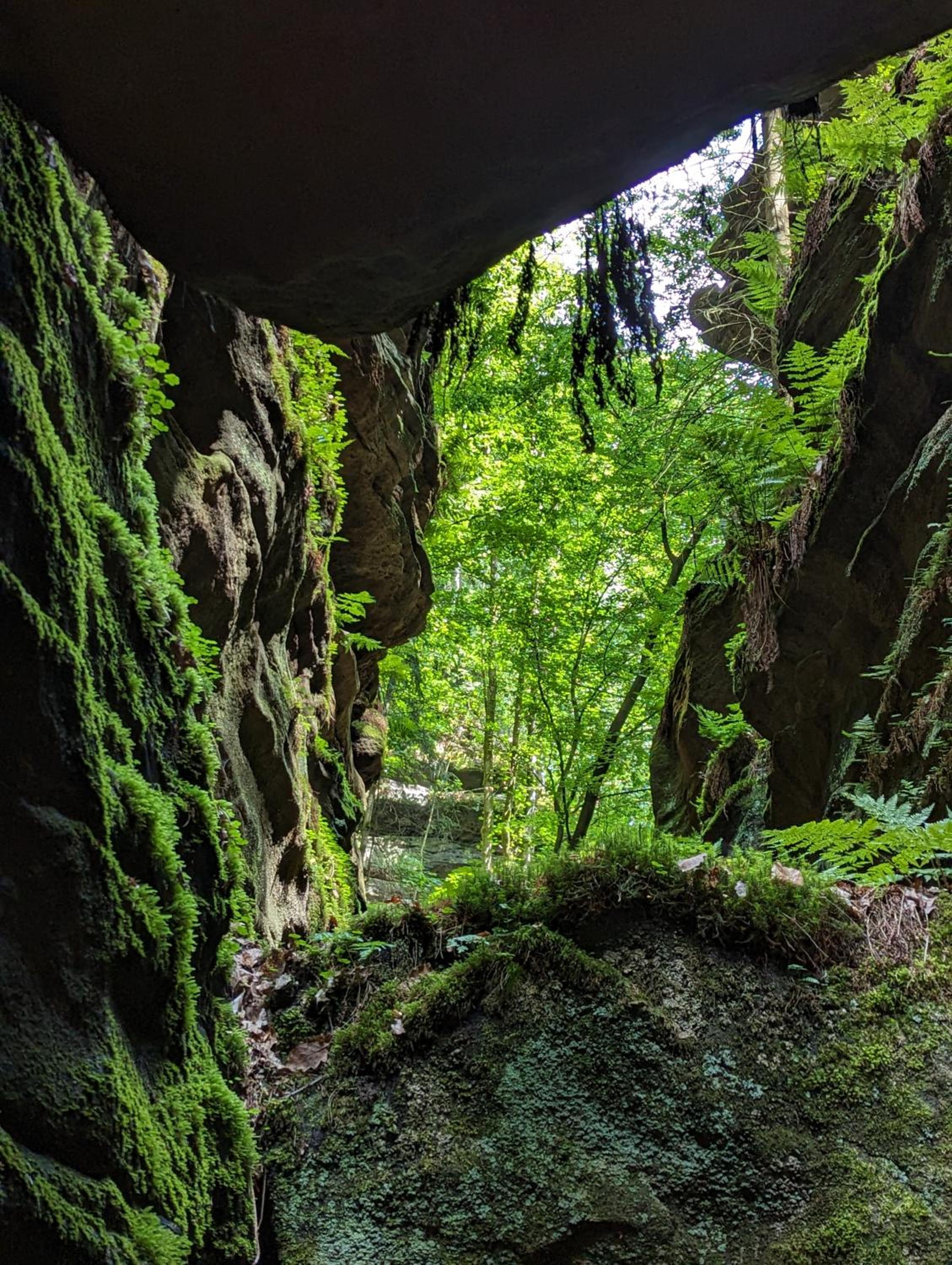 NaturflairHaus