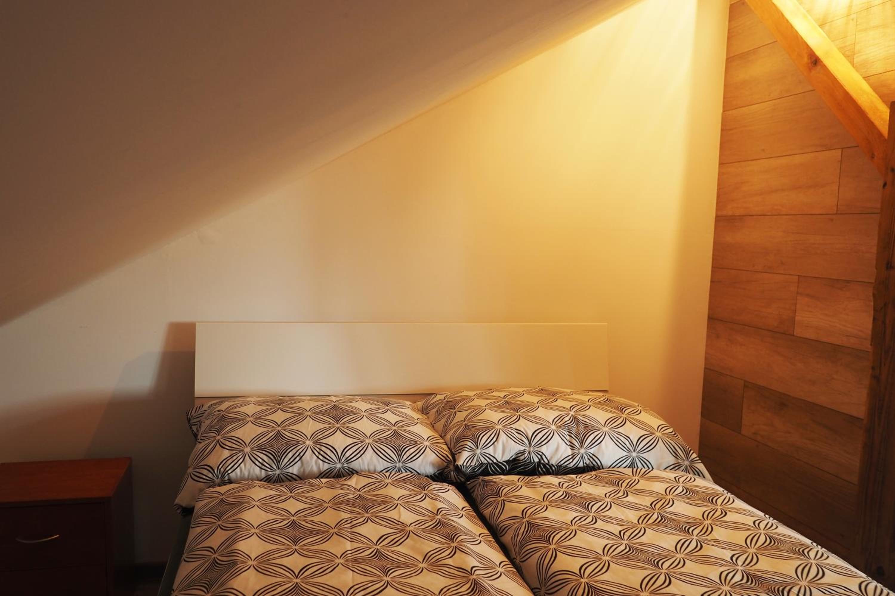 Apartmán U Borovice