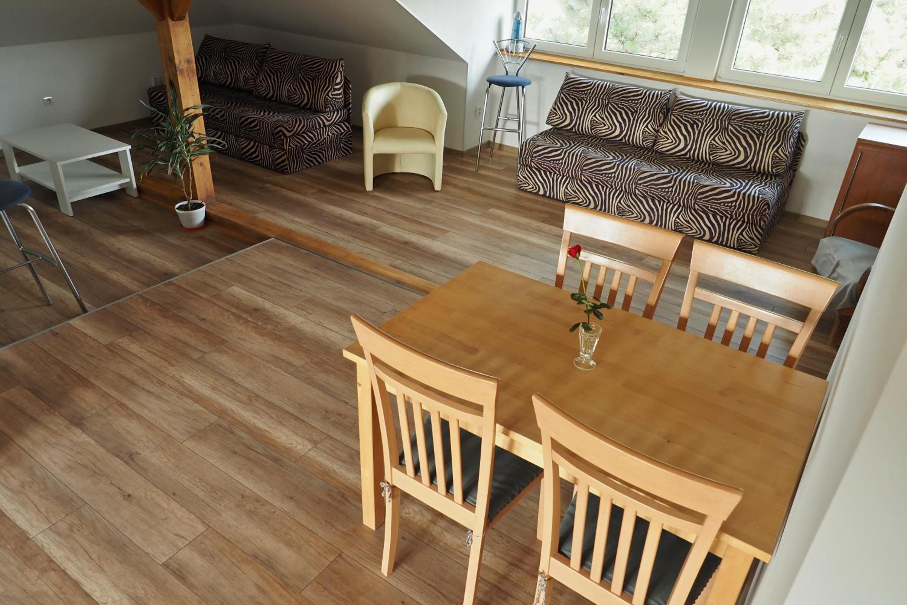 Apartmán U Borovice