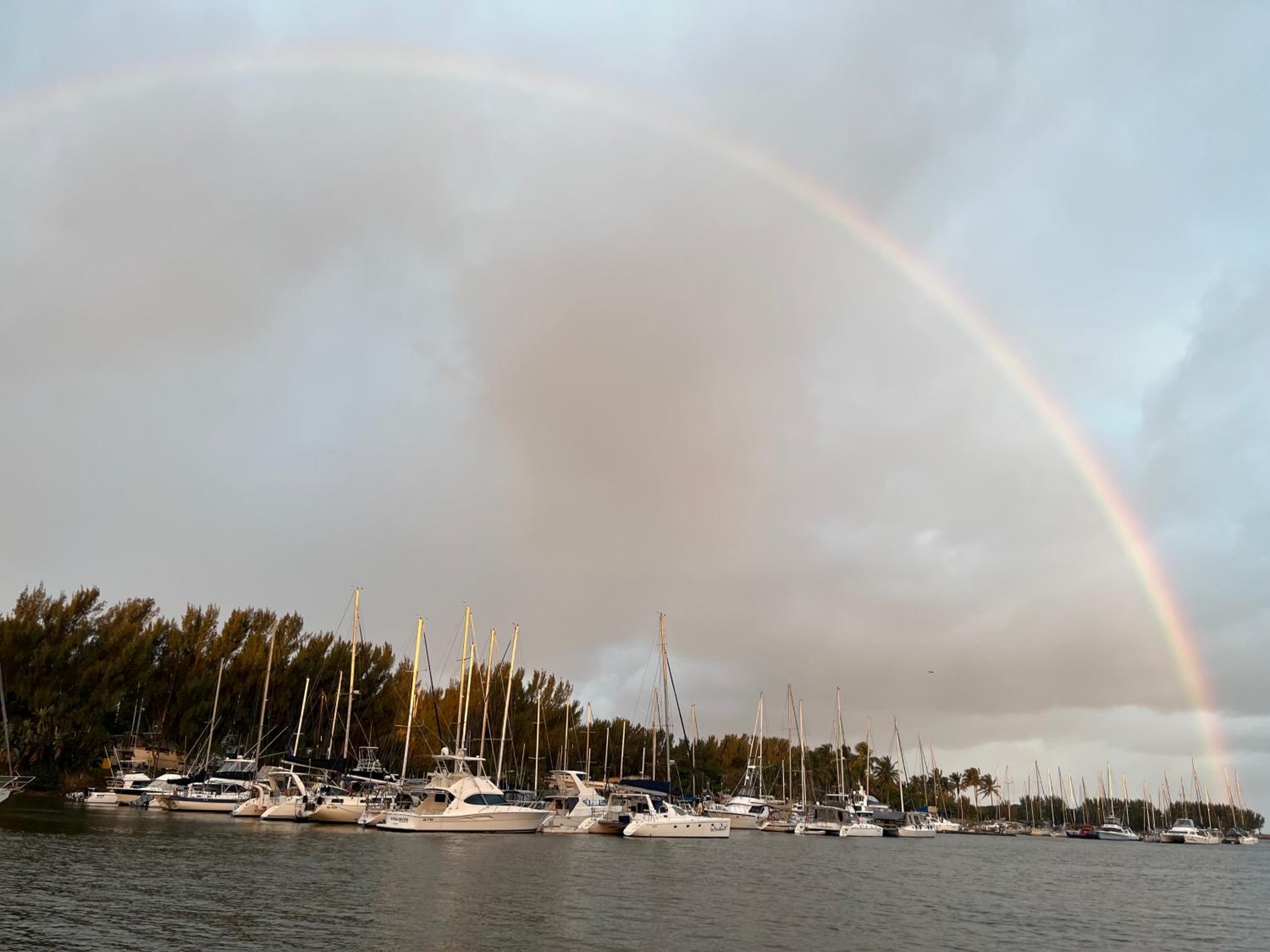 Mzingazi waterfront, photo 11