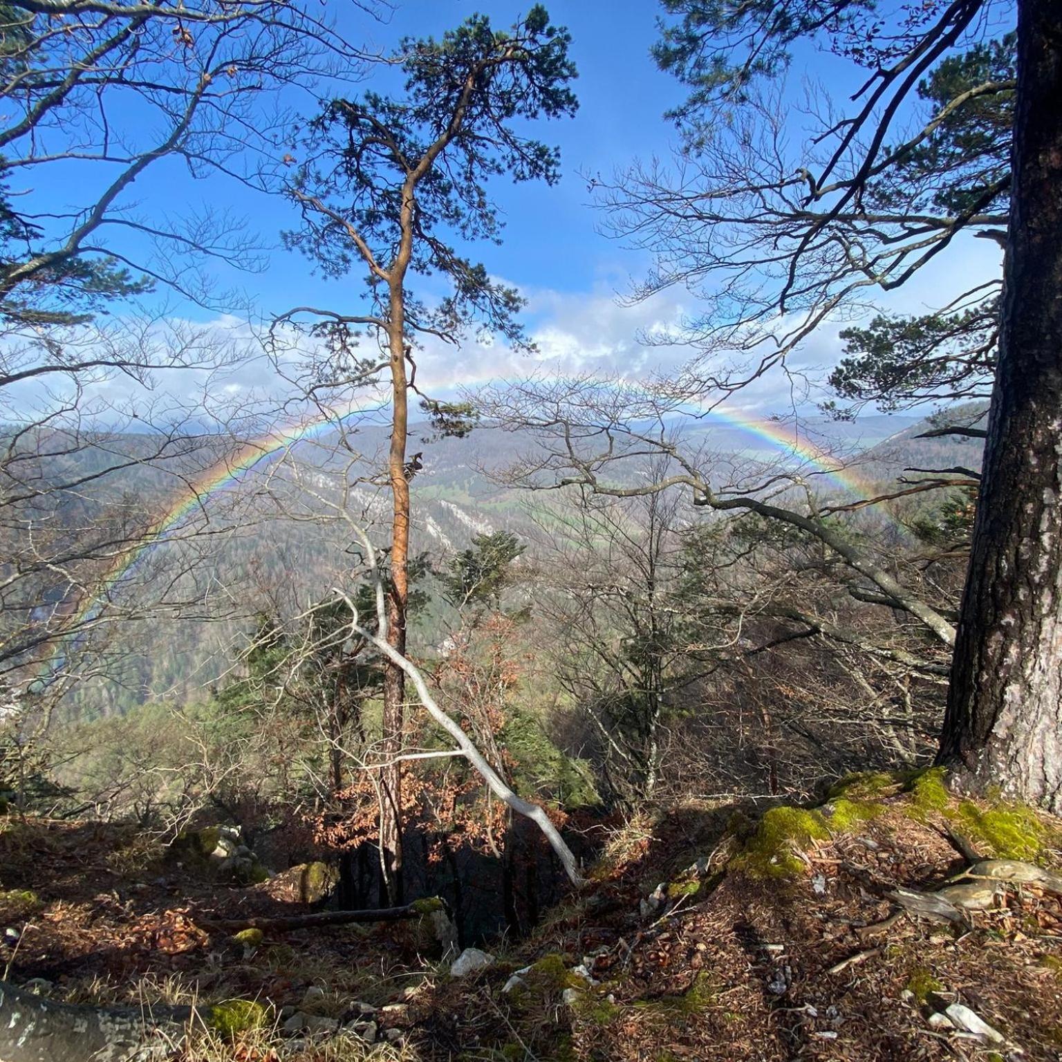 La Belle Etoile - Bauernhof in mitten der Natur