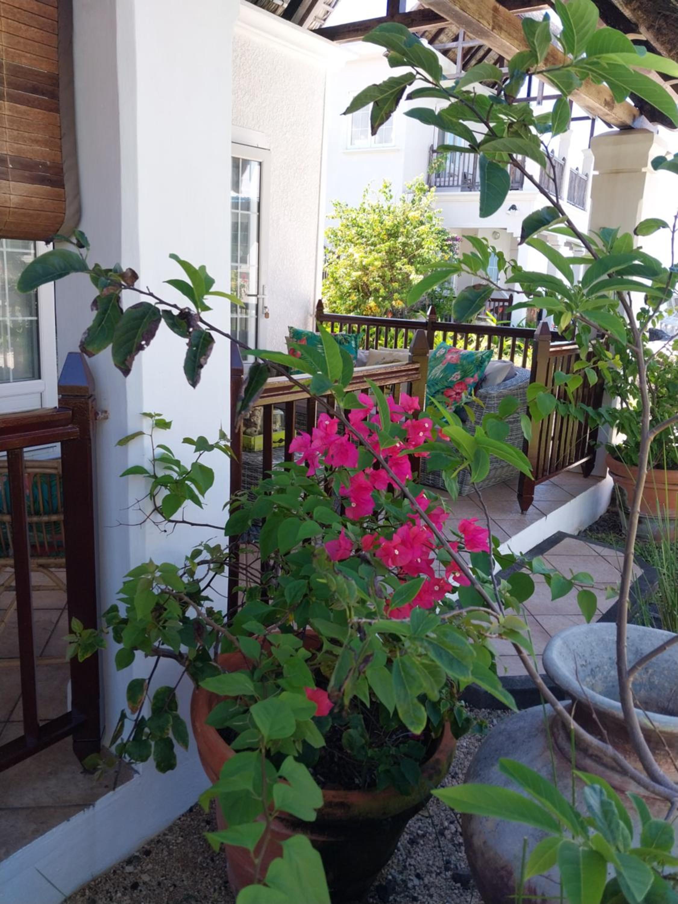 CHILLpill Guest House