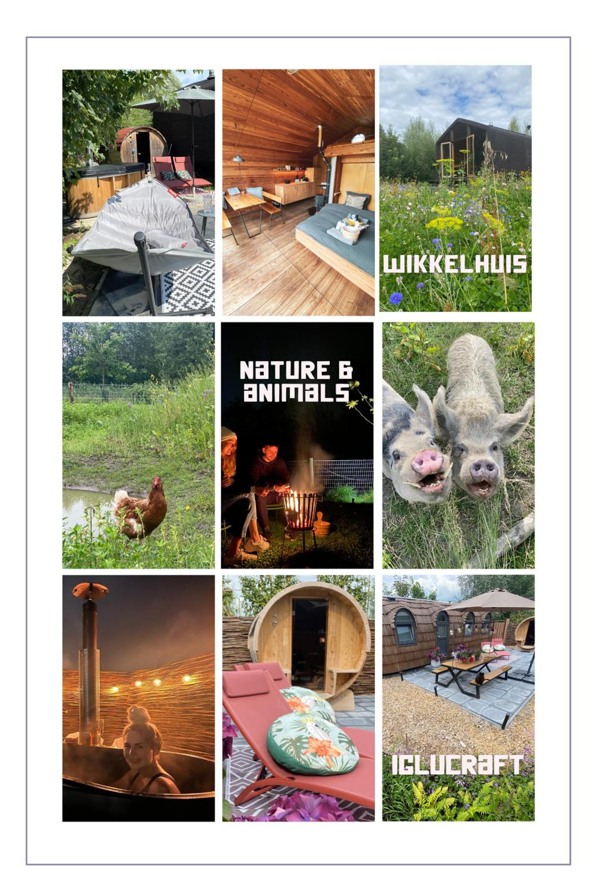 Bed & Wellness Pigs and Pillows with private hottub and sauna and tandembike rental included in price near Amsterdam