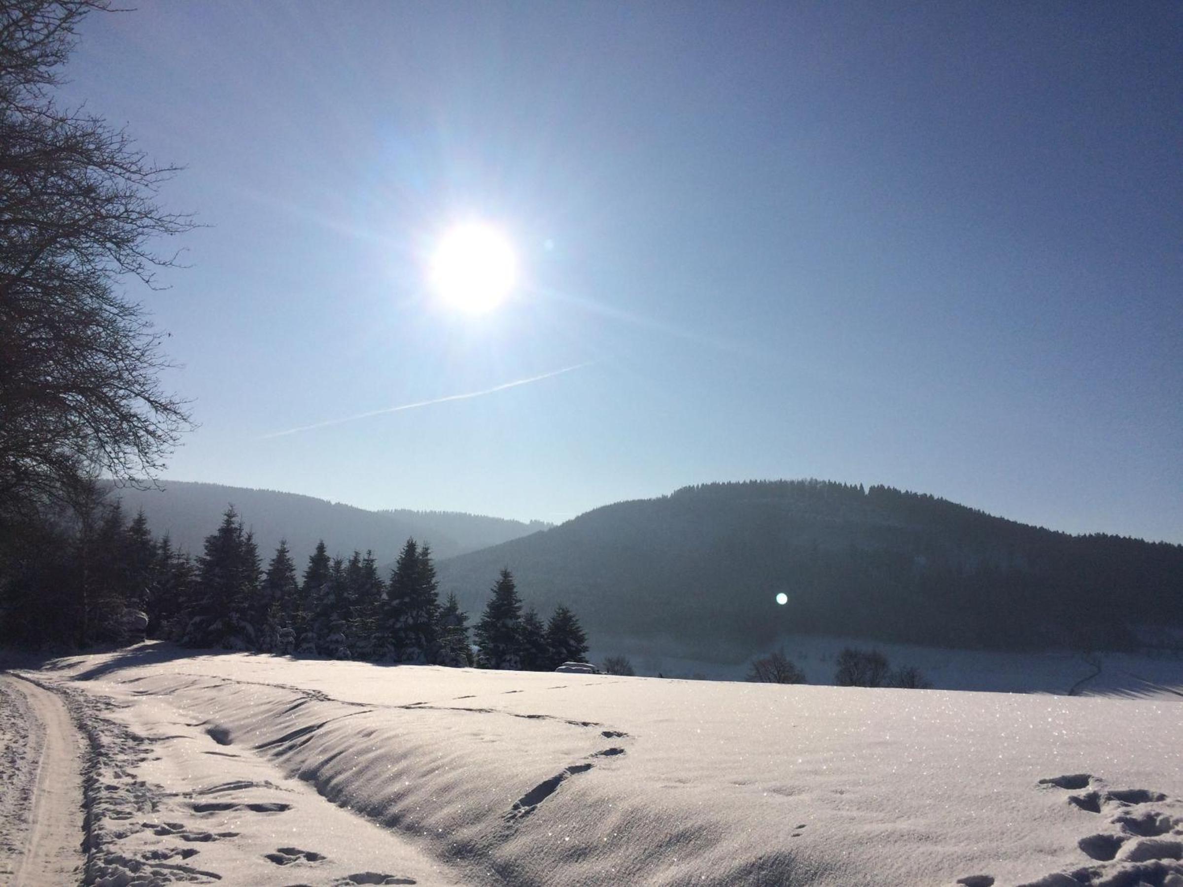 Nurdachhaus Sauerland
