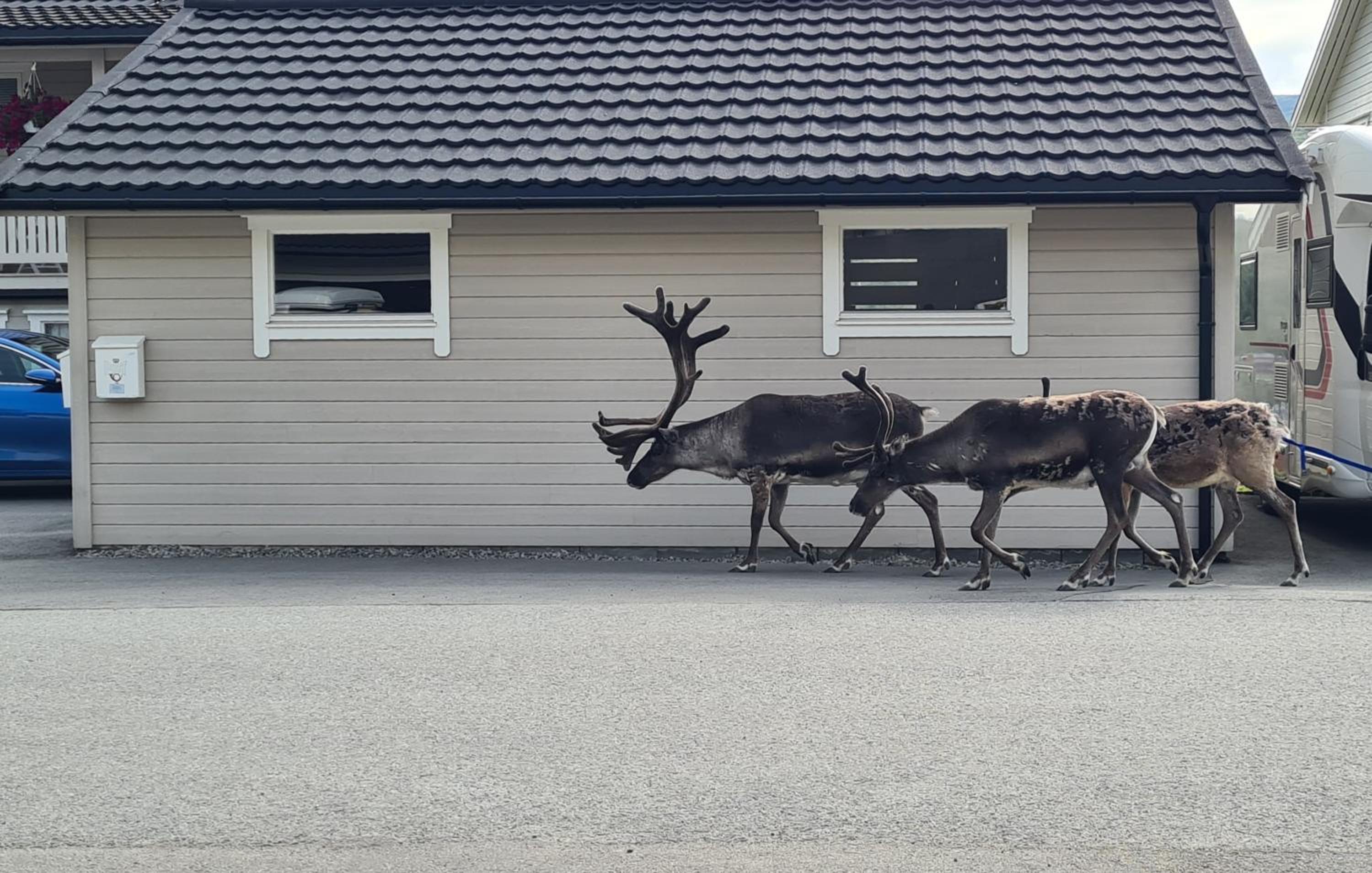 Norhern lights Luxus home -5 min AirPort-free park