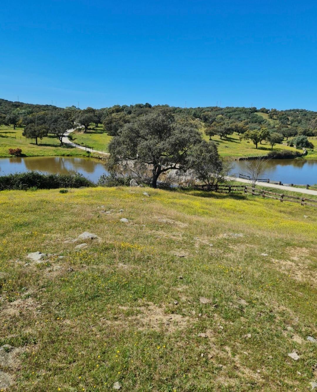 Alojamiento Rural Finca Barral