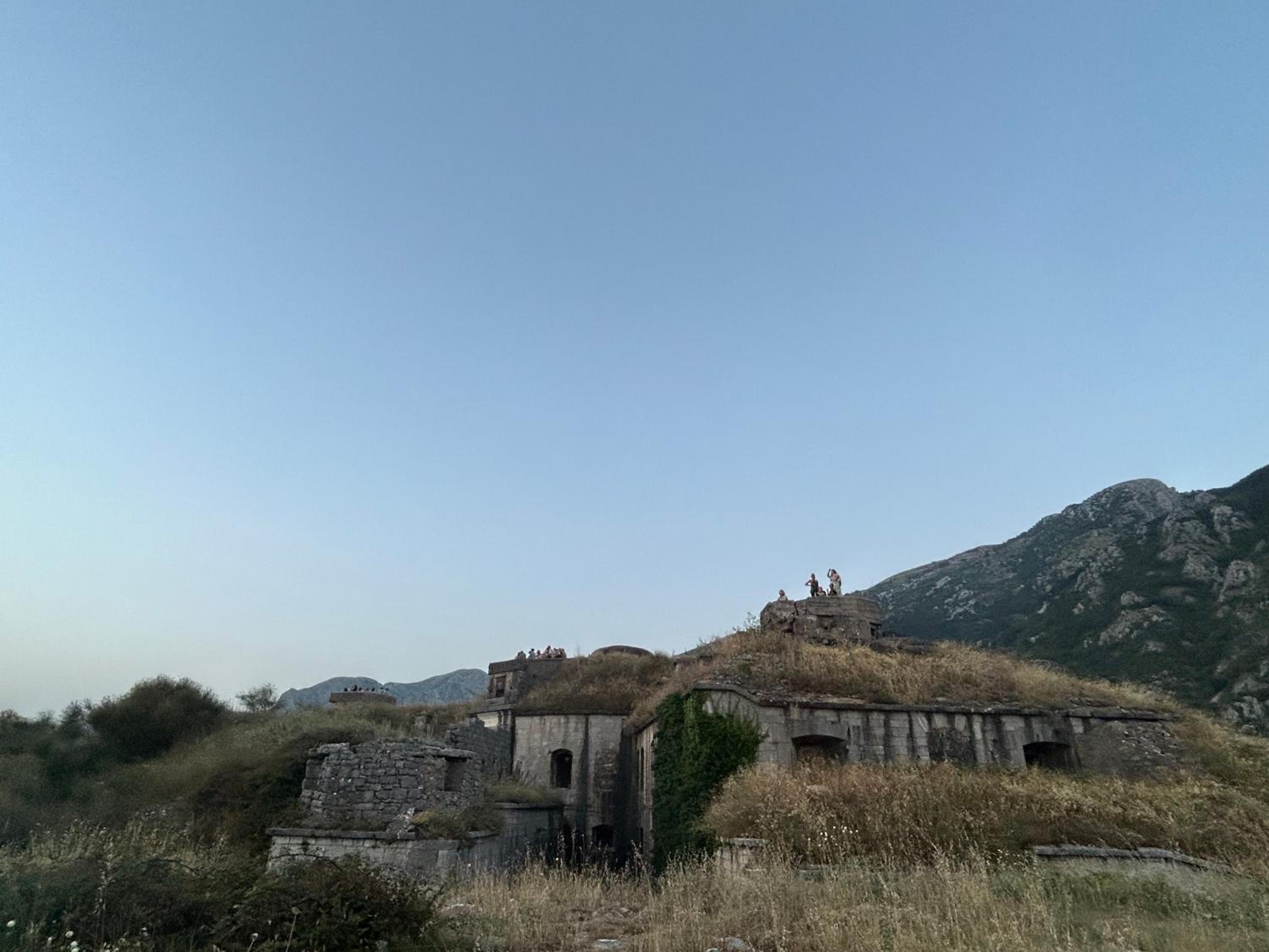 Photo 41
