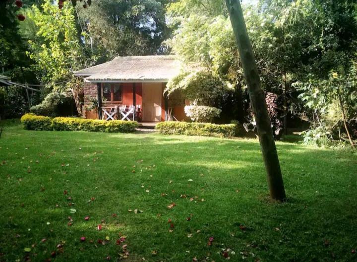 Steve's cottage-homely view 2