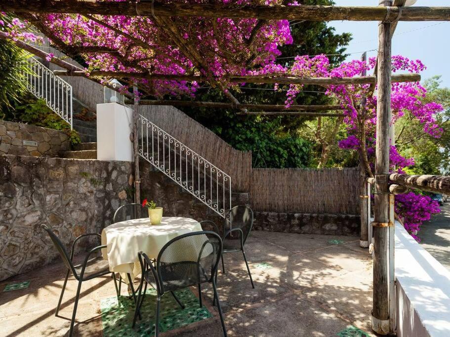 VILLA EDES