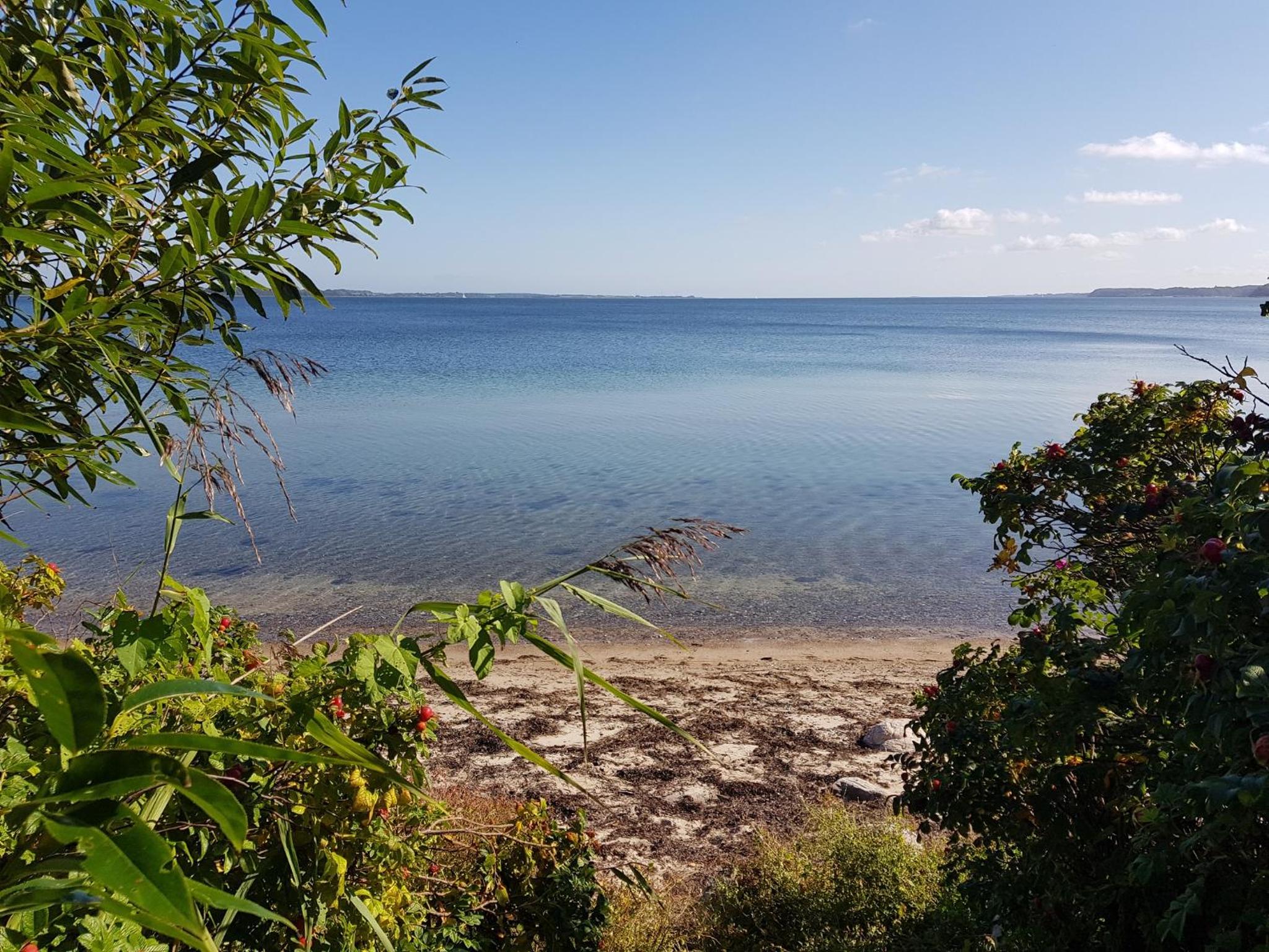 Modernes Ferienhaus Ostseesegler mit direktem Meerblick an der Ostsee