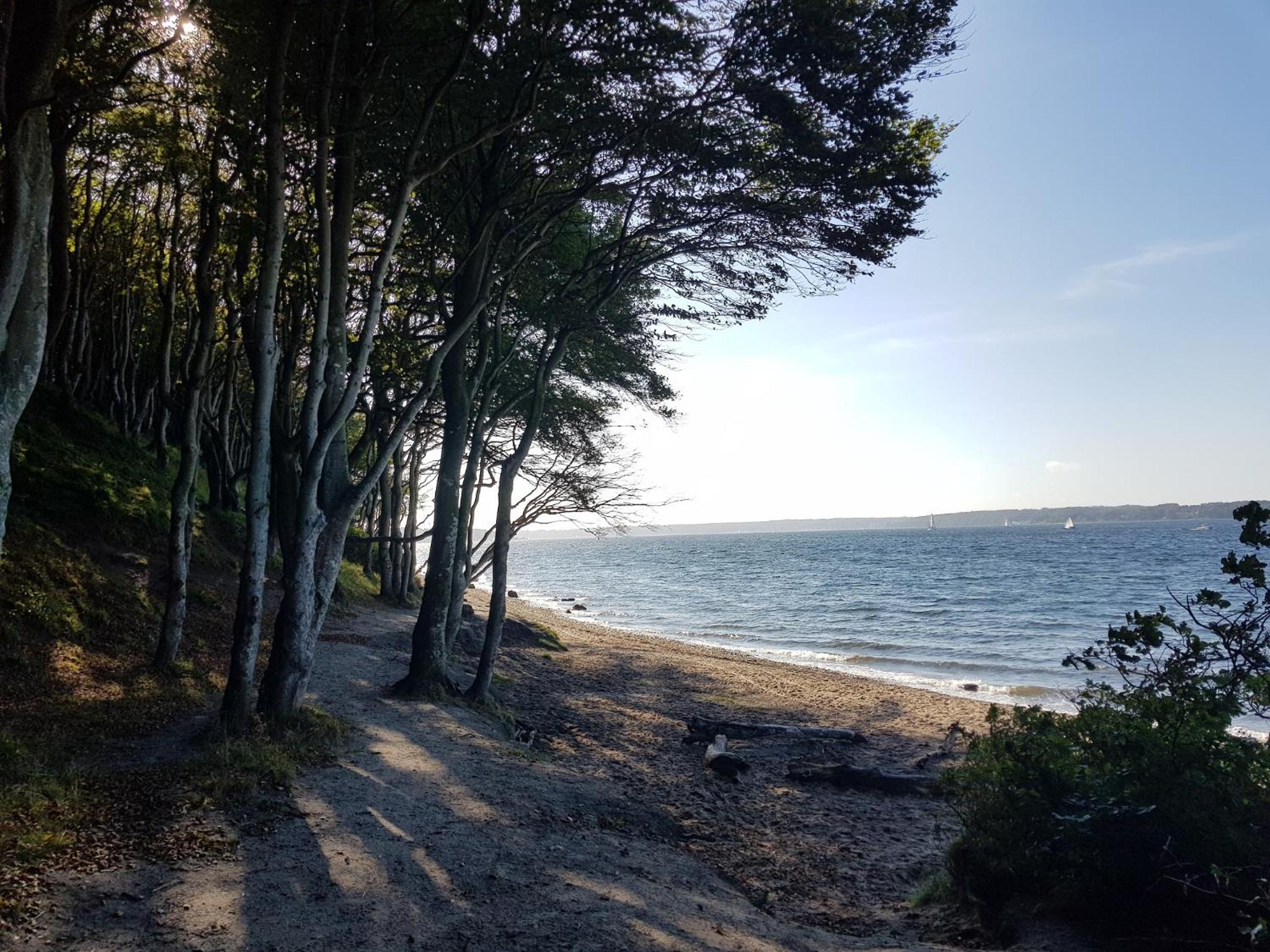 Modernes Ferienhaus Ostseesegler mit direktem Meerblick an der Ostsee