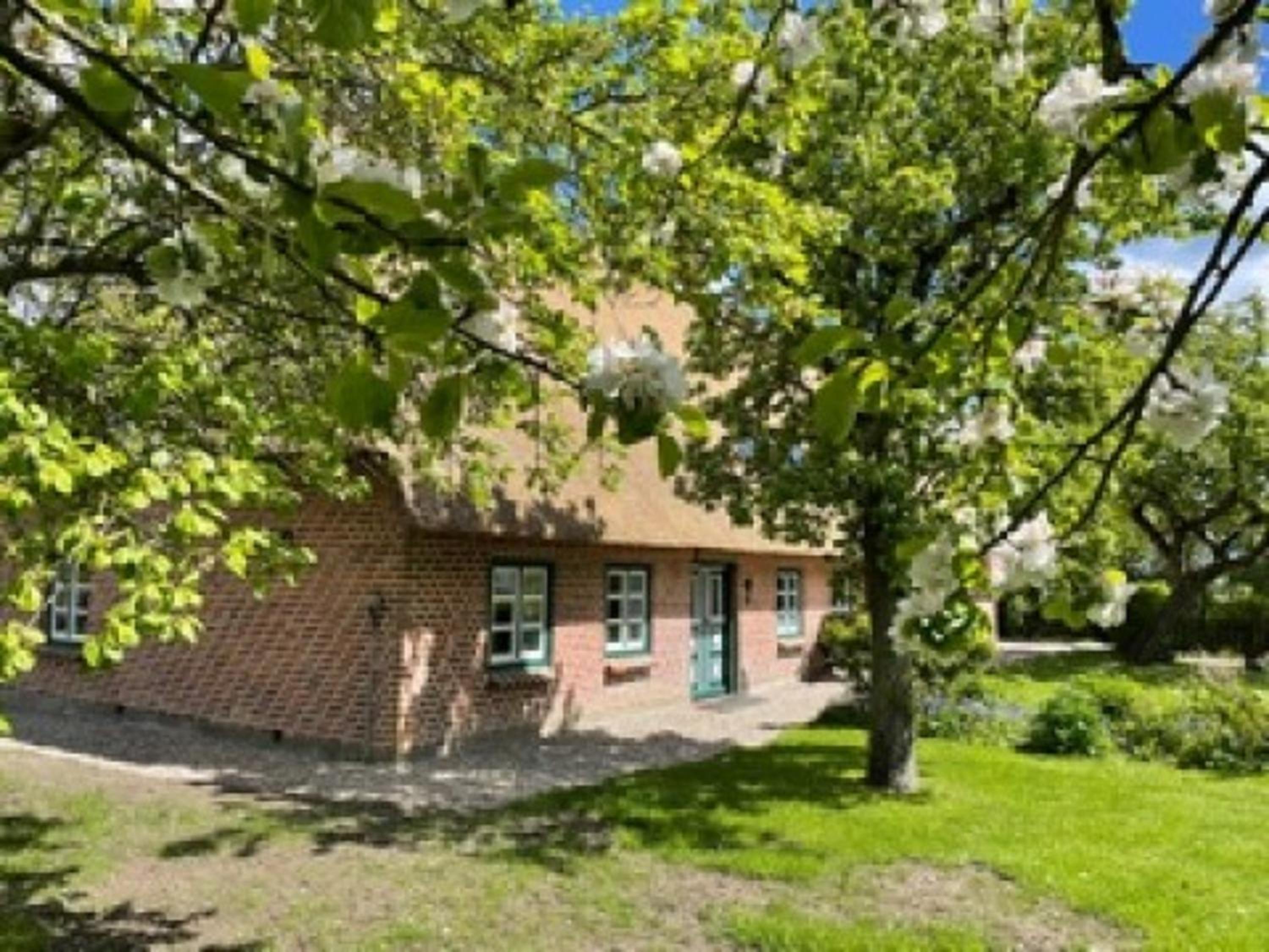 Ferienwohnung Süd Hasselberg