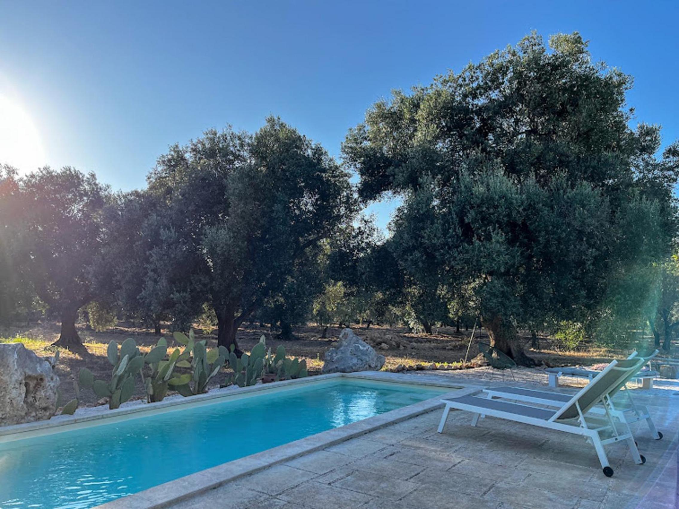 Trullo Oscar con Piscina Privata view 4