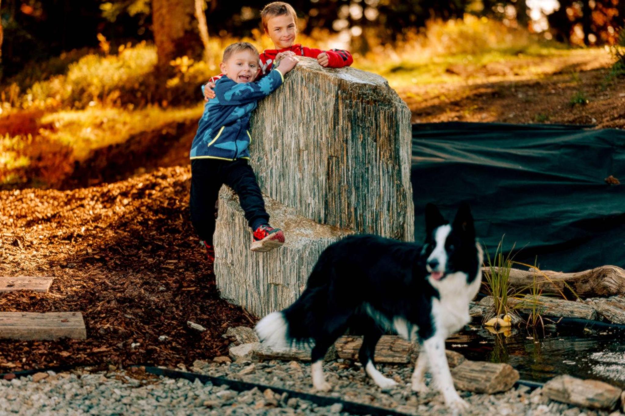 Photo 51