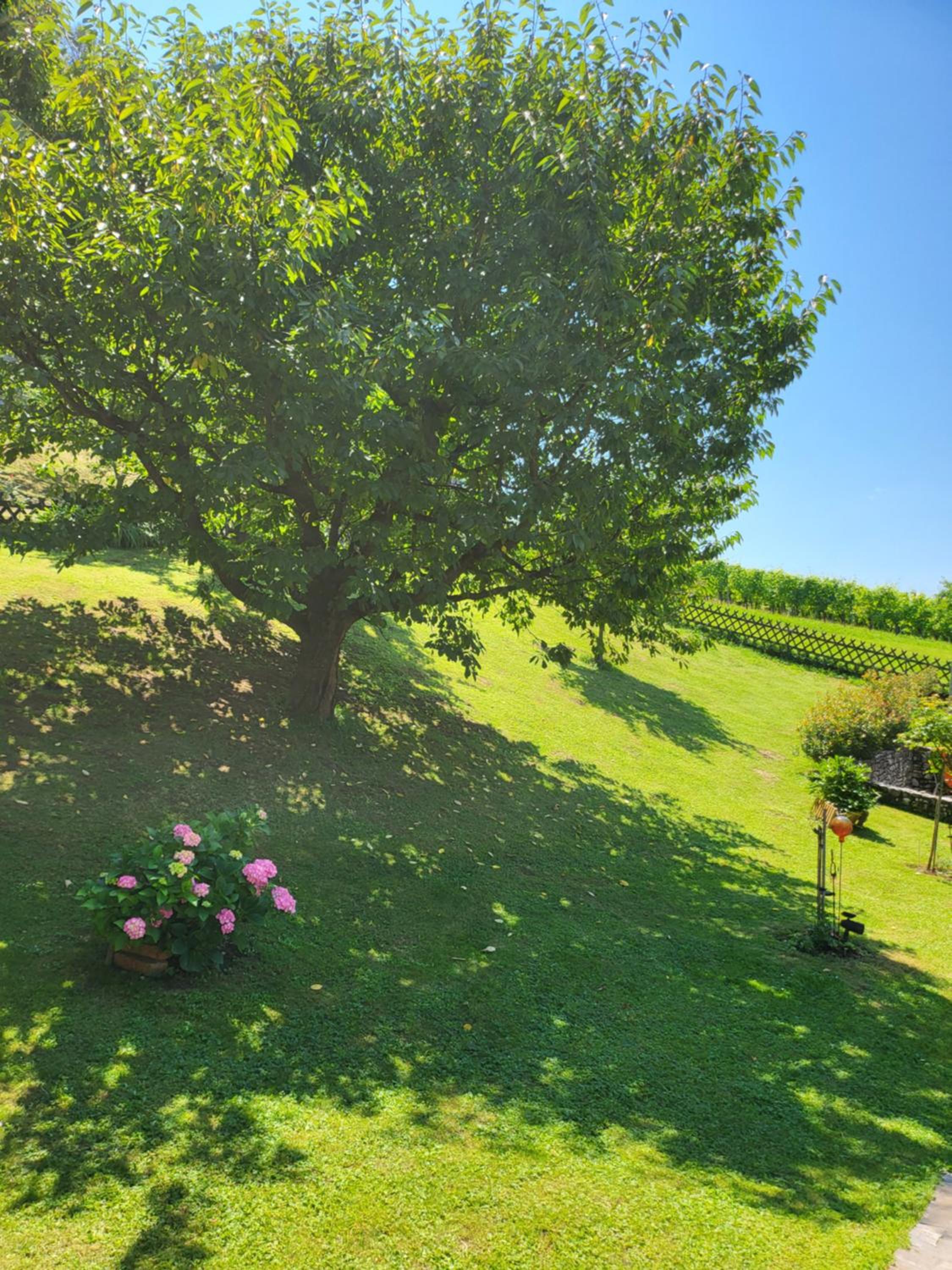 Ferienhaus Zangl am Seggauberg - Südsteiermark