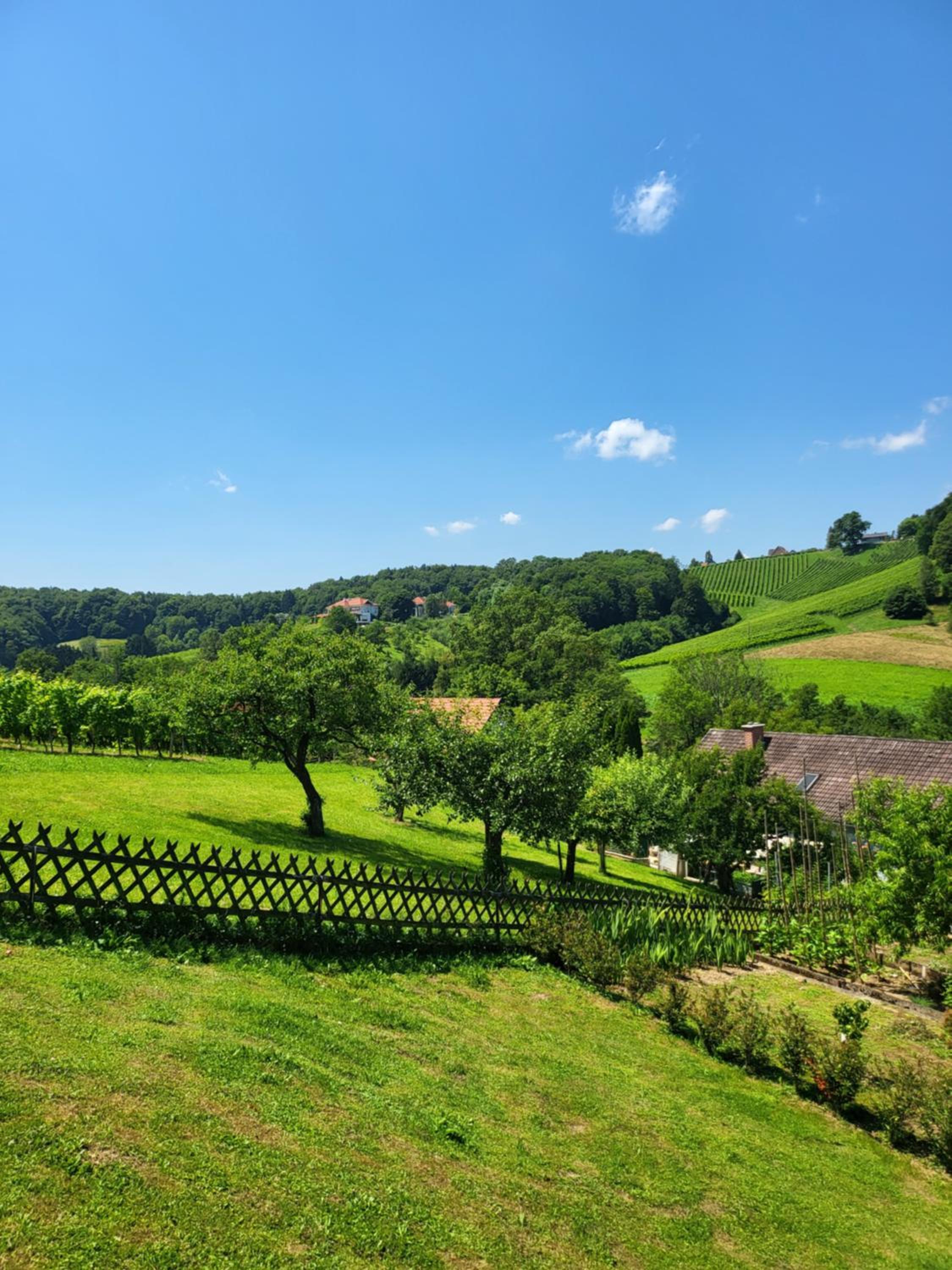 Ferienhaus Zangl am Seggauberg - Südsteiermark