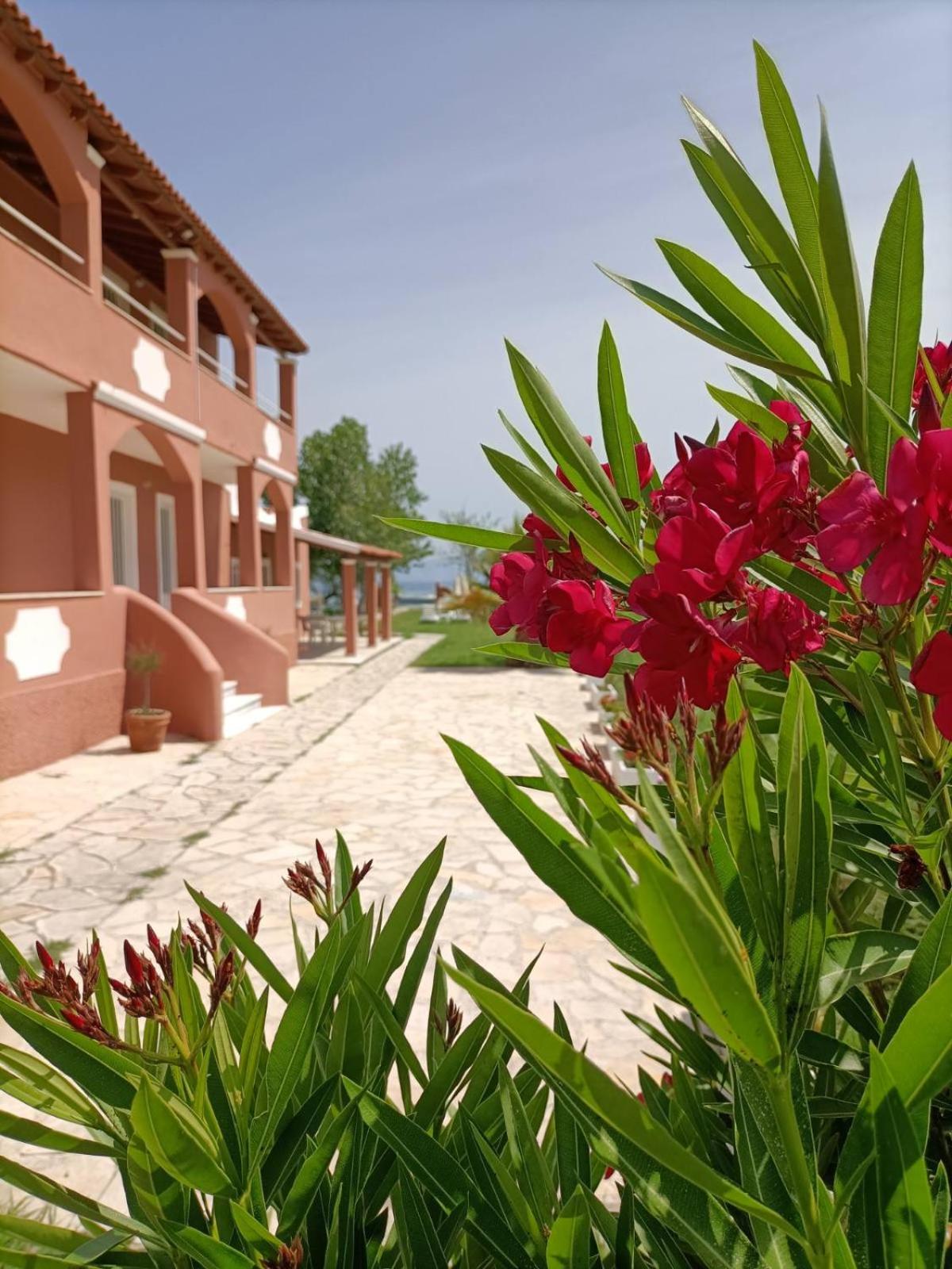 Melador beachfront studios