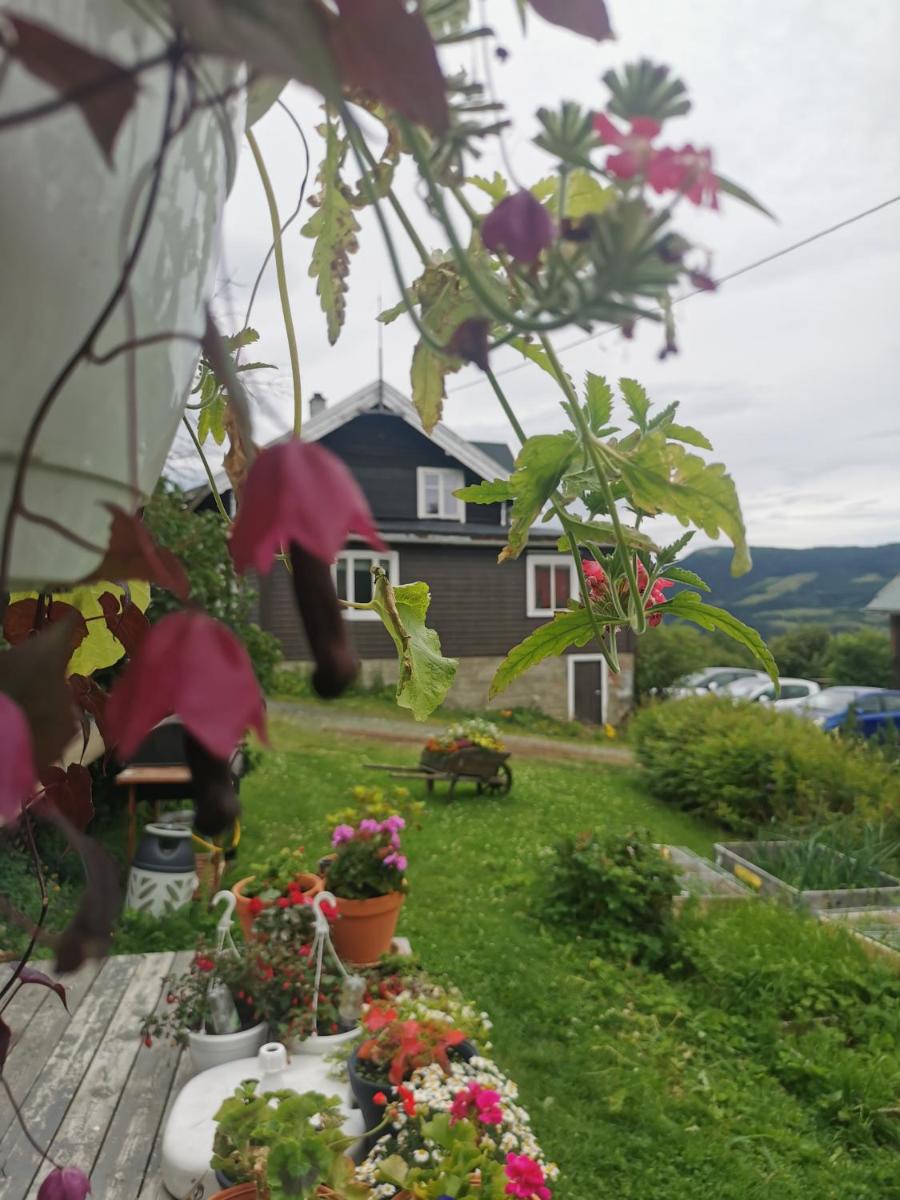 Photo 10