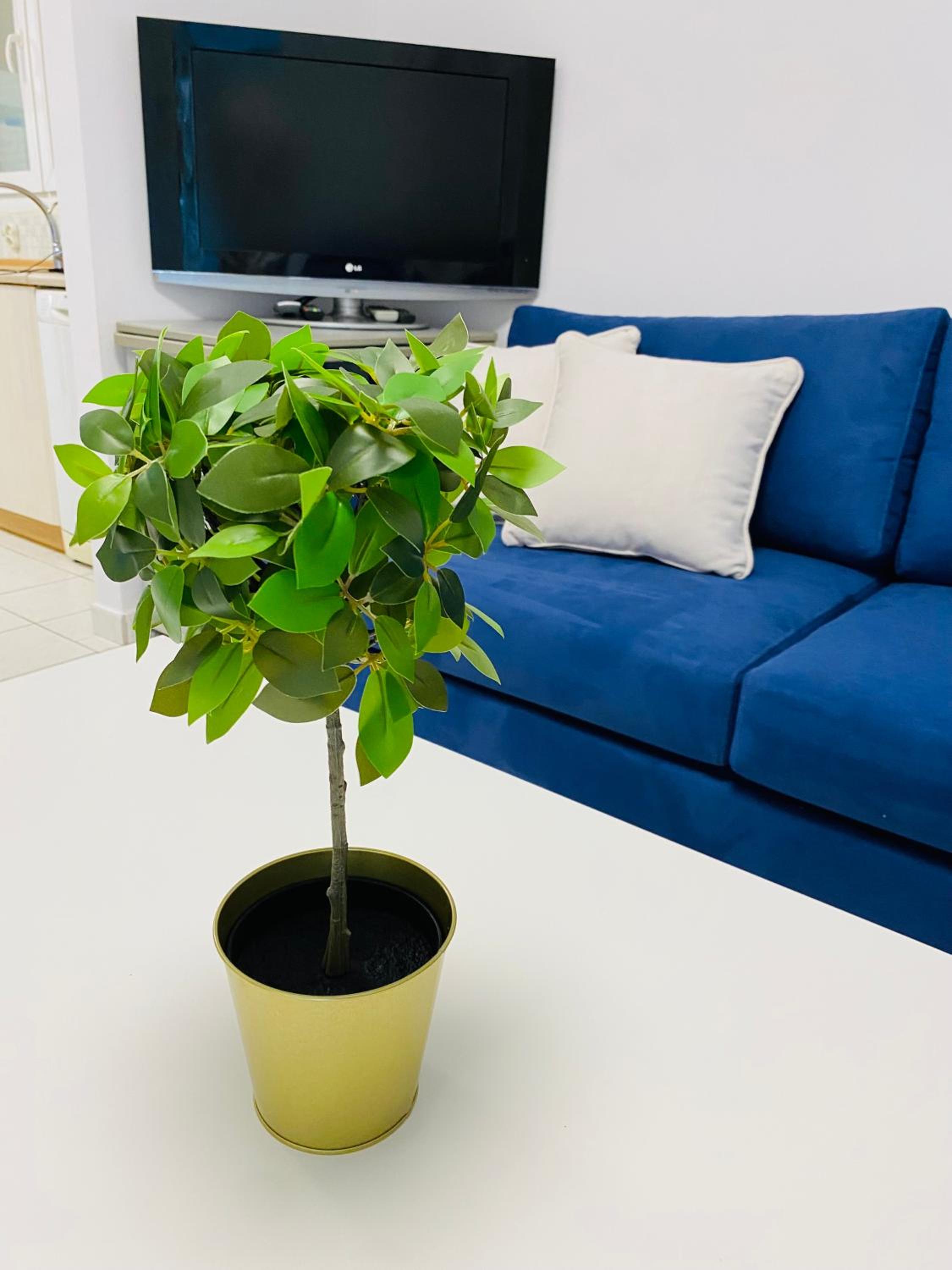 Koker's Place