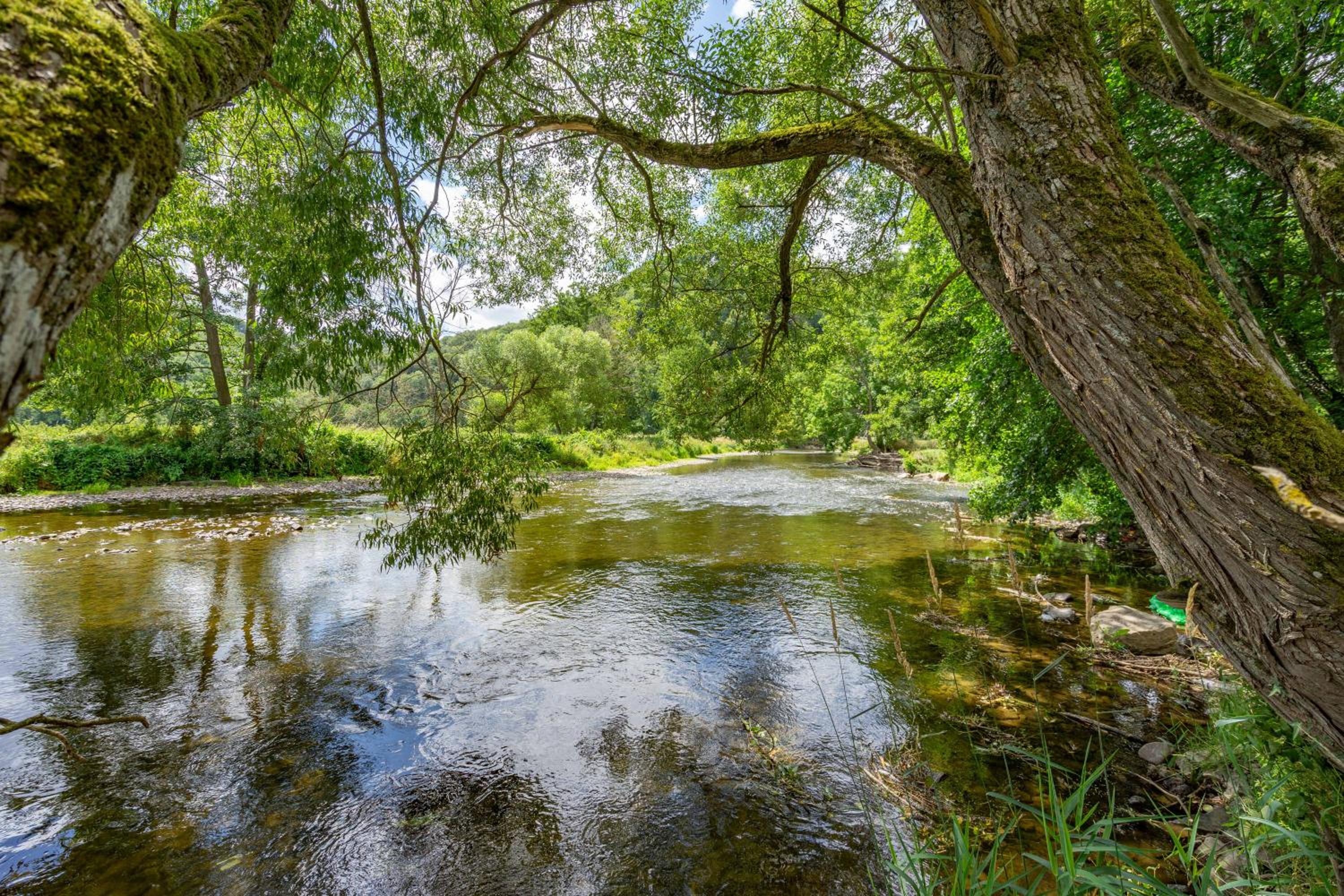 Le Jardin du vieux moulin 6b