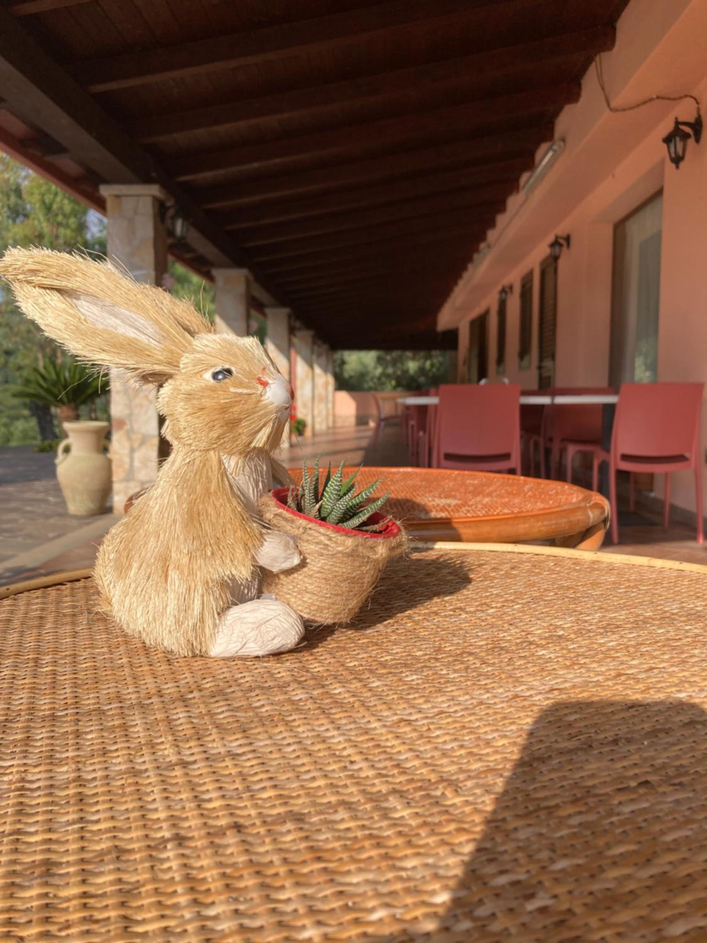 Agriturismo Sa Mandria view 4