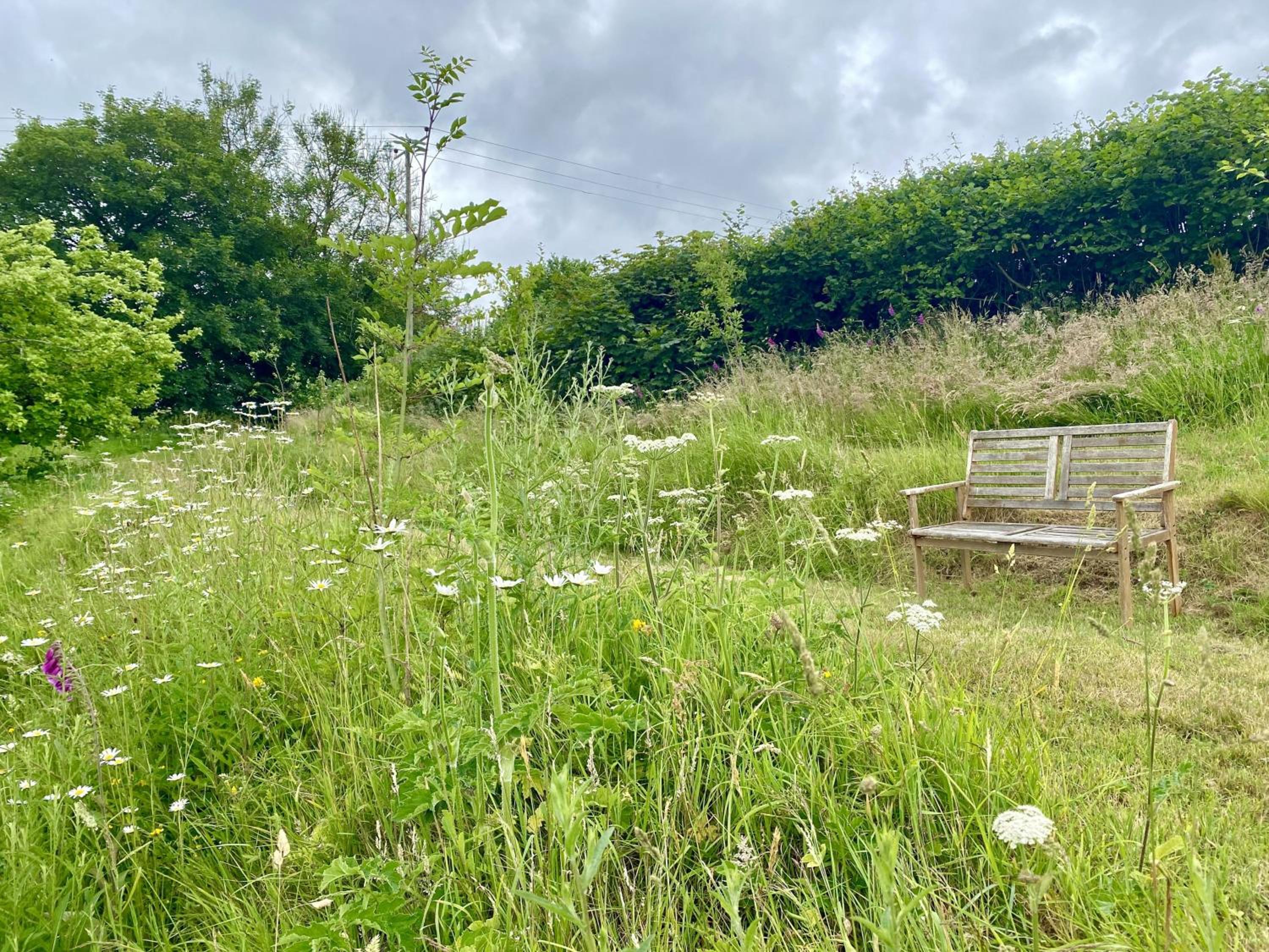 Beech Cottage