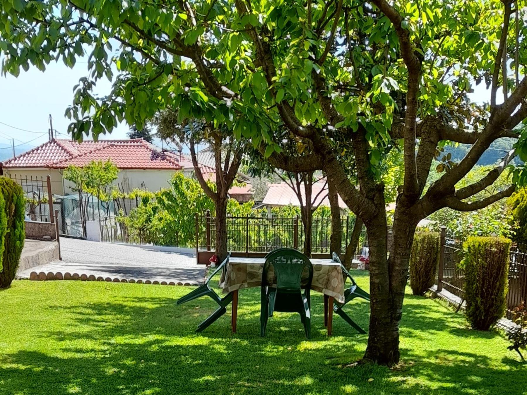 Alex House