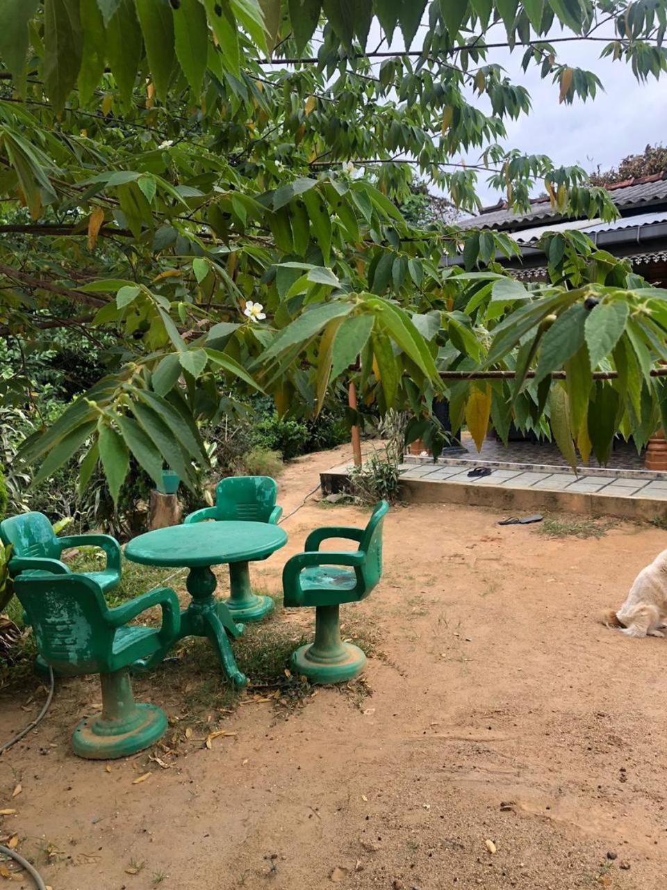 Cinnamon Homestay ella