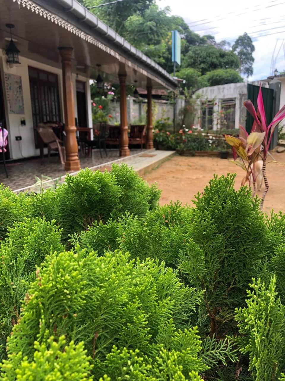 Cinnamon Homestay ella
