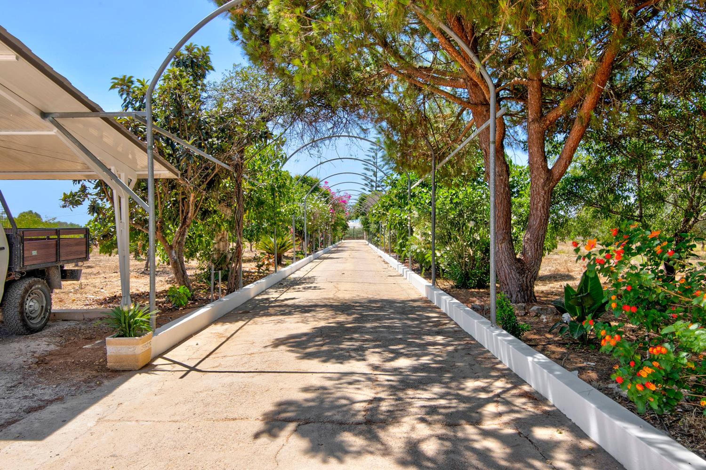 Quinta Alegre Tavira Moderno T2 view 5