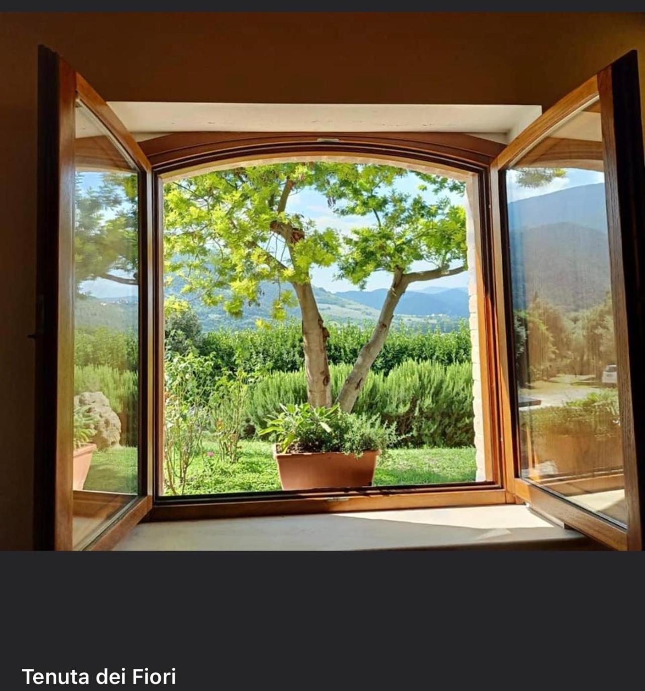 La Tenuta dei Fiori