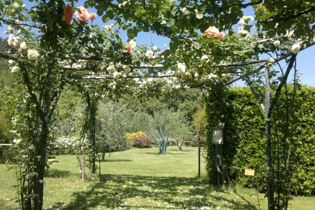 Il Giardino in Florence