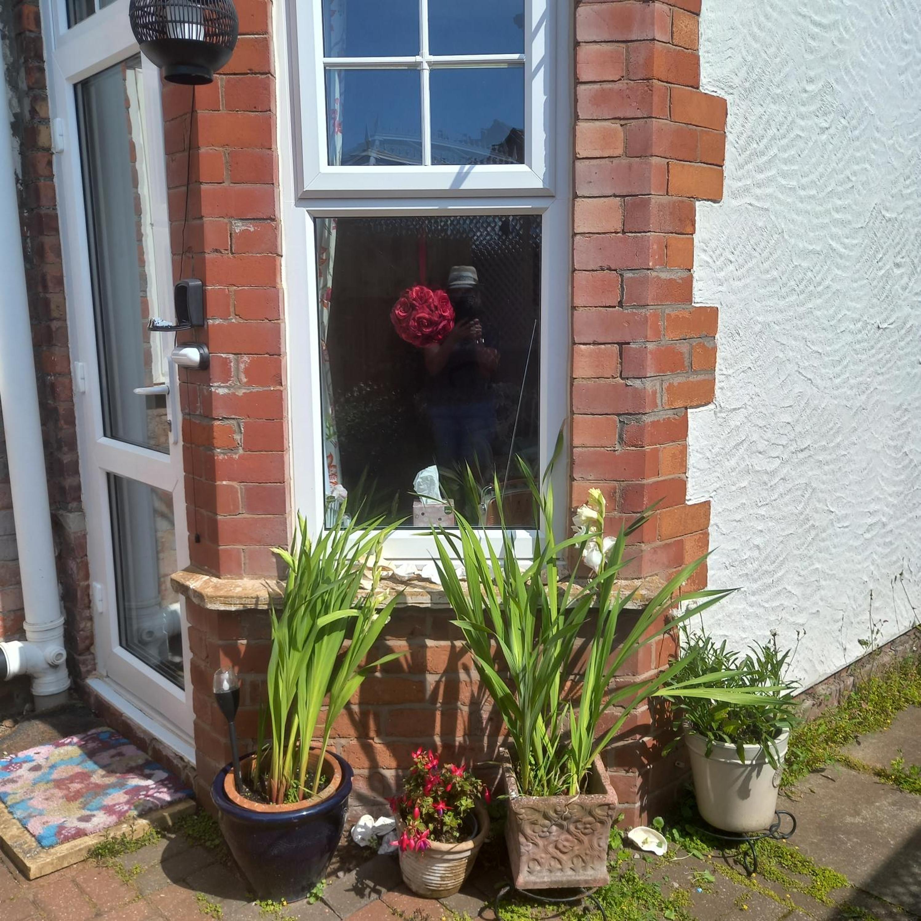 Photo 31