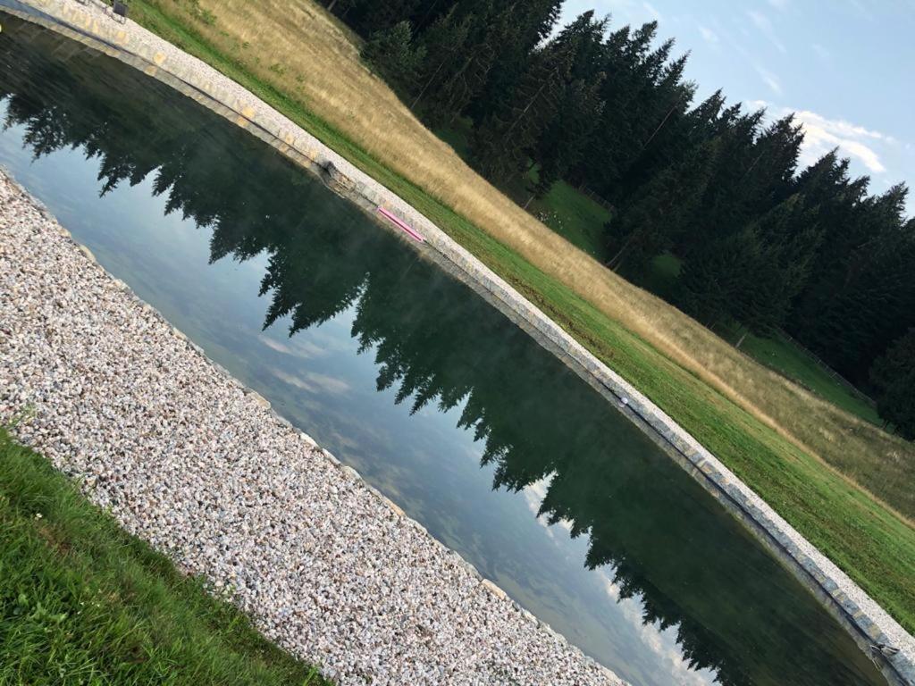 Apartmani nisicka oaza 2